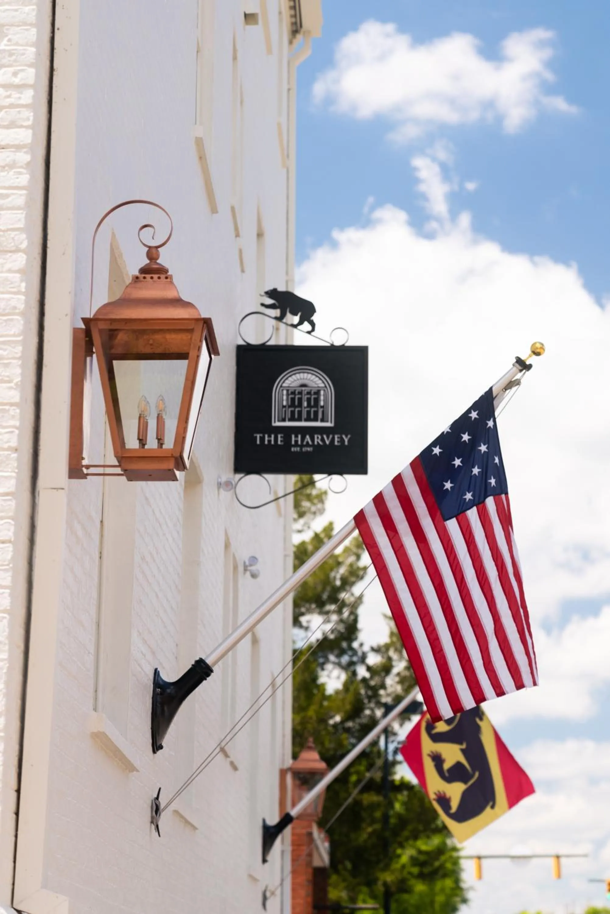 Street view in The Harvey