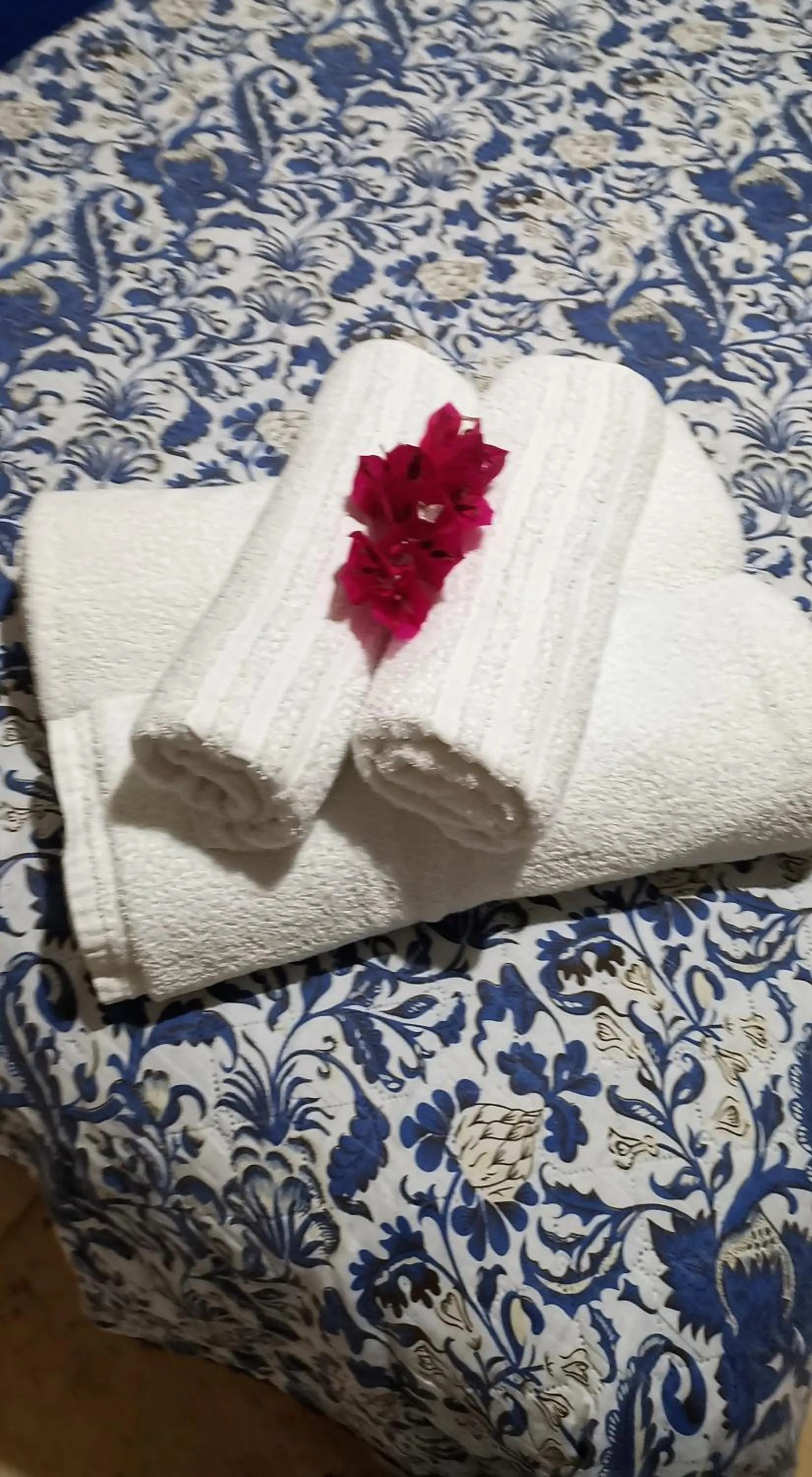 Decorative detail, Bed in Vila Emanuelle Pousada Boutique