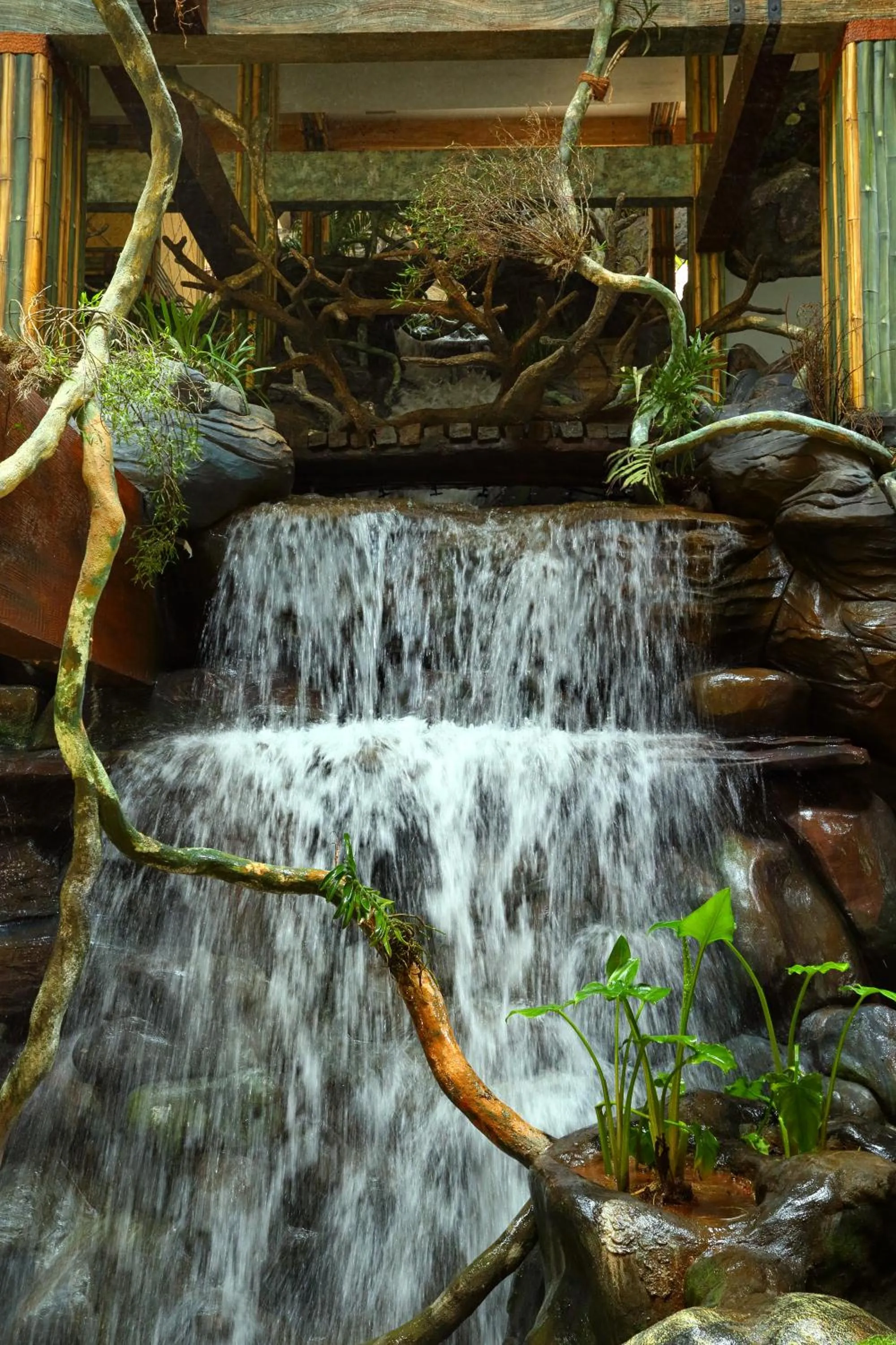 Decorative detail in Chandys Windy Woods Munnar