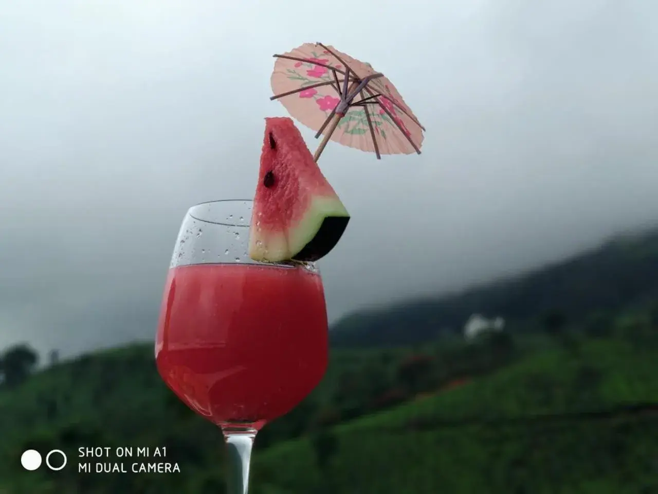 Restaurant/places to eat in Chandys Windy Woods Munnar Restaurant/places to eat in Chandys Windy Woods Munnar