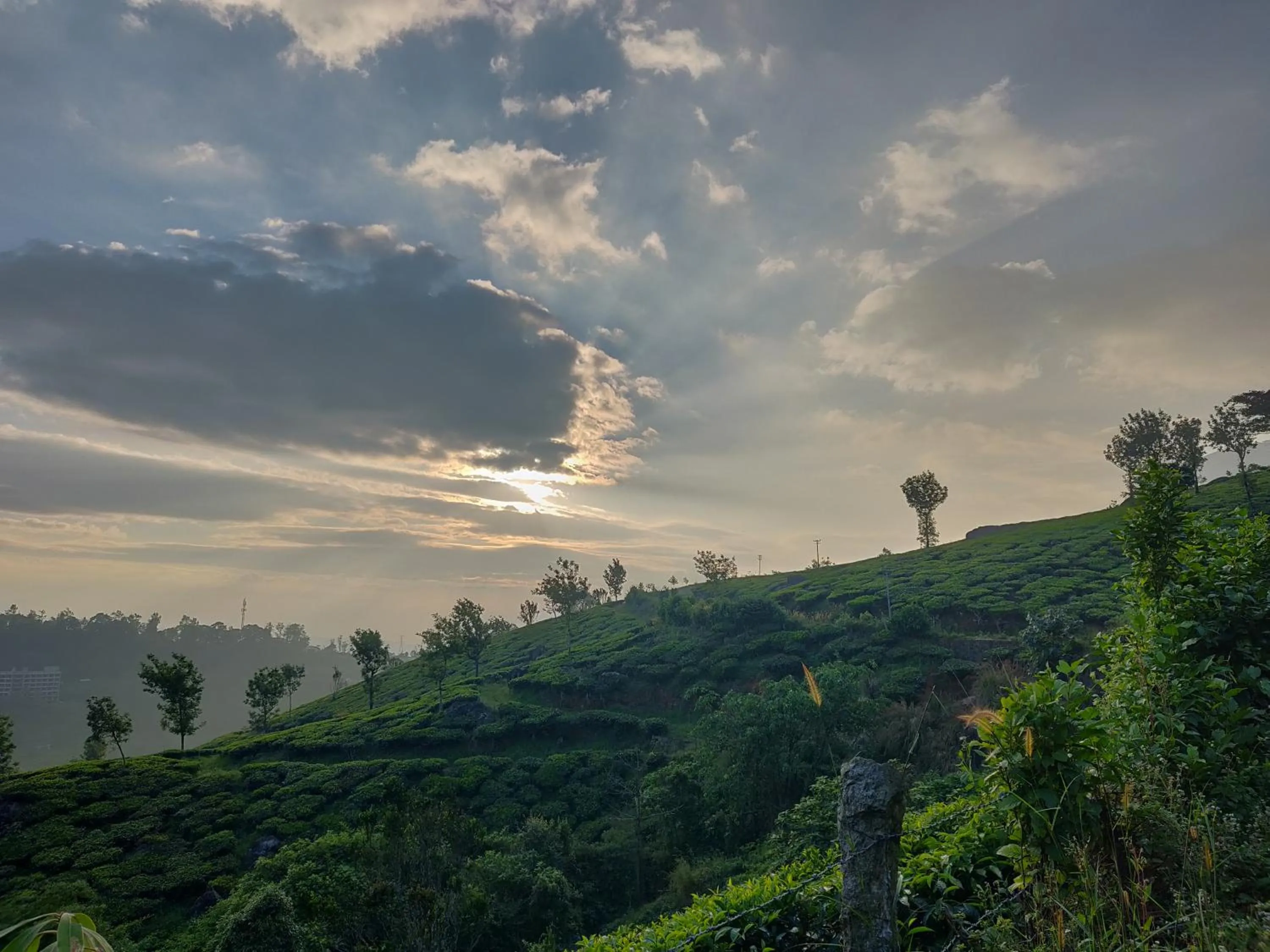 Natural landscape in Chandys Windy Woods Munnar