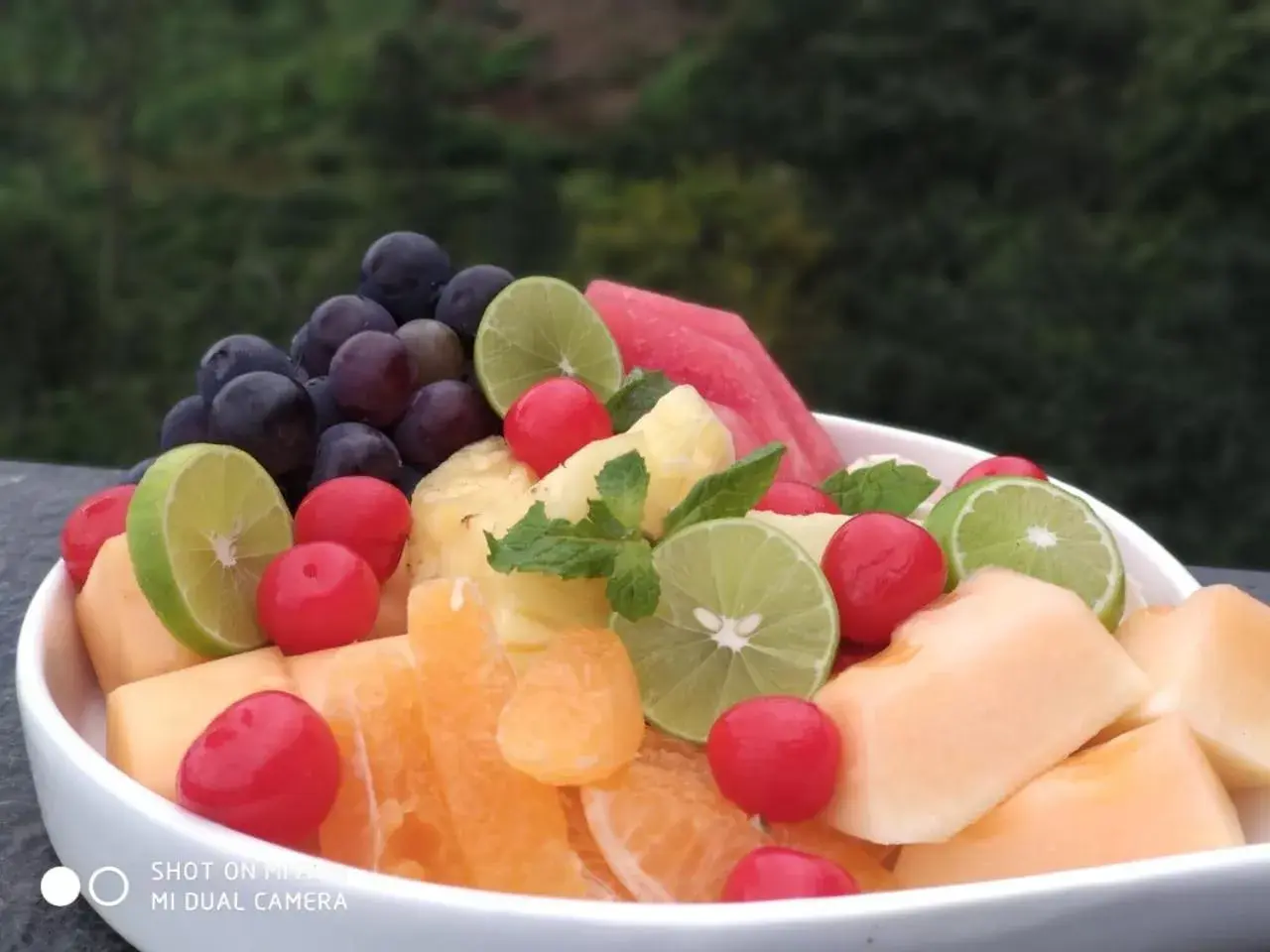 Restaurant/places to eat in Chandys Windy Woods Munnar Restaurant/places to eat in Chandys Windy Woods Munnar