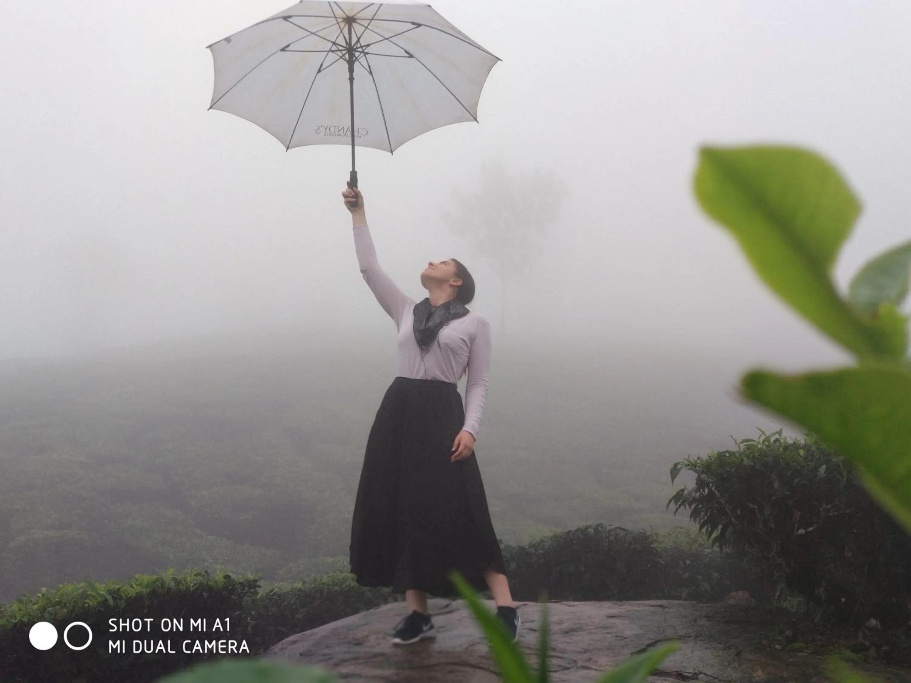 Activities in Chandys Windy Woods Munnar