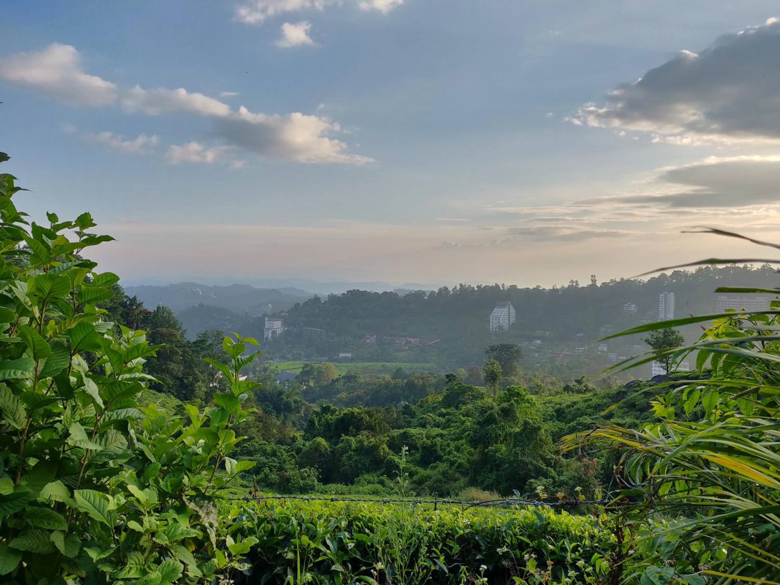 Nearby landmark in Chandys Windy Woods Munnar