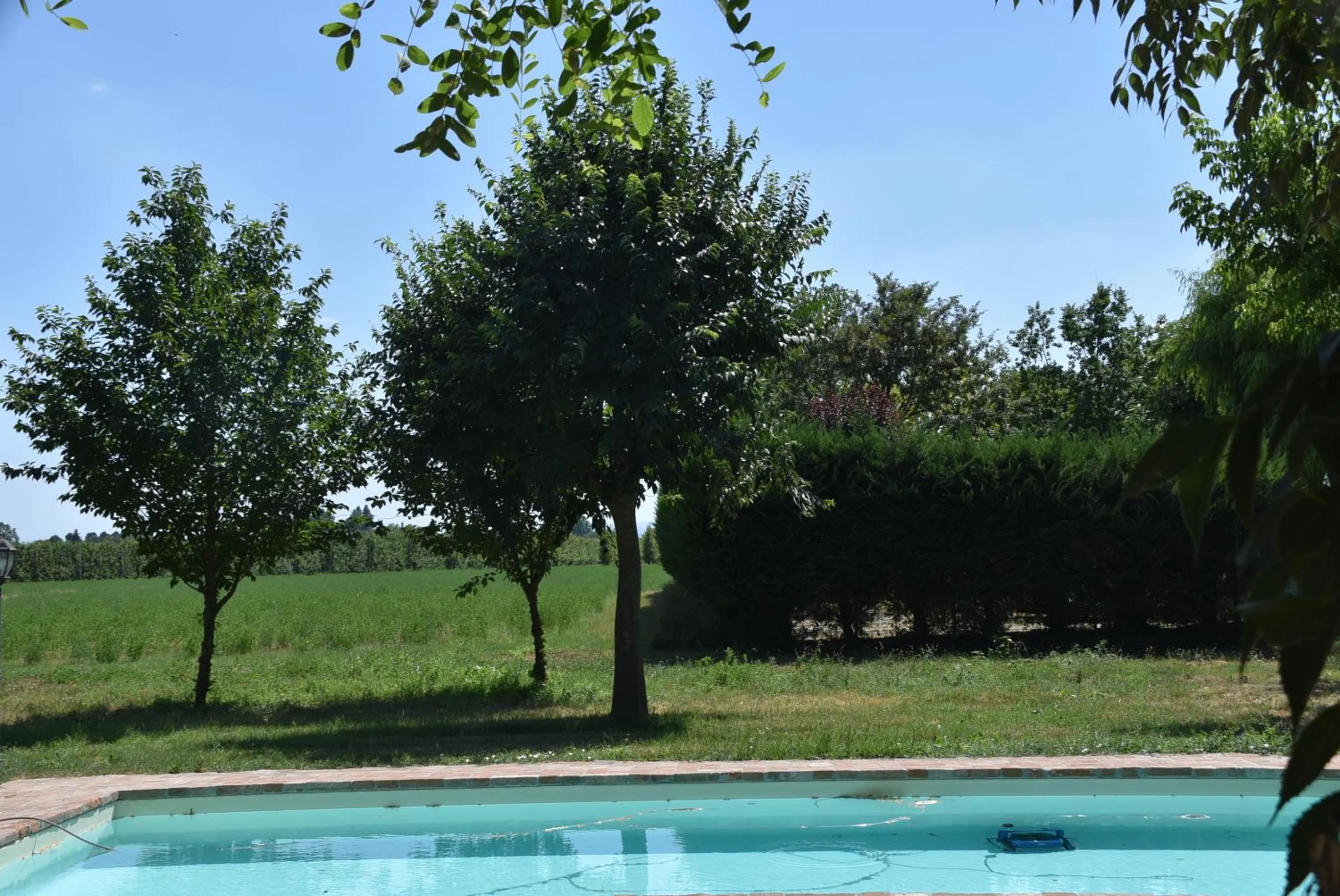 Swimming pool in Tenuta Torre Diana