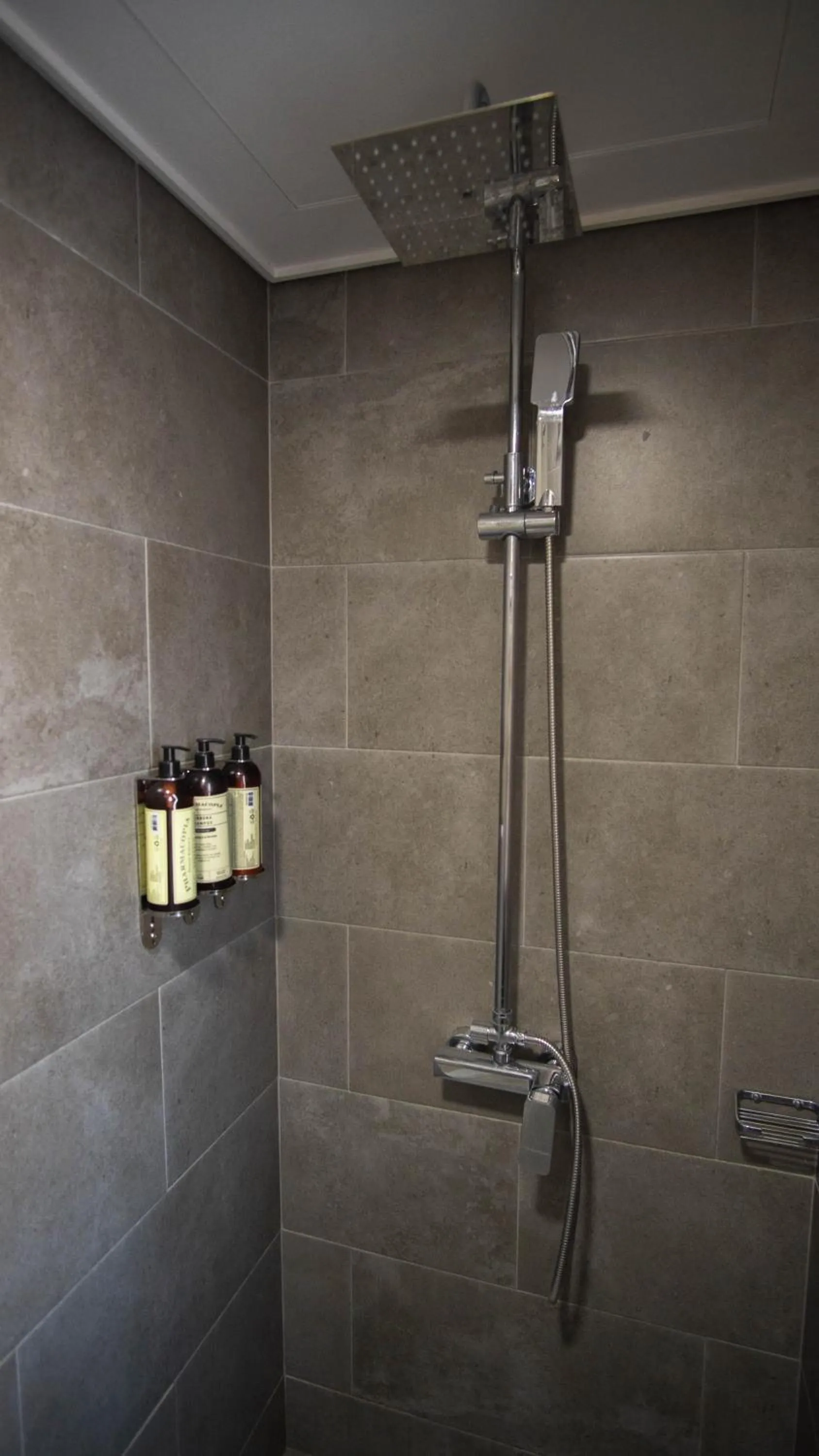 Shower in Novotel Santiago Vitacura