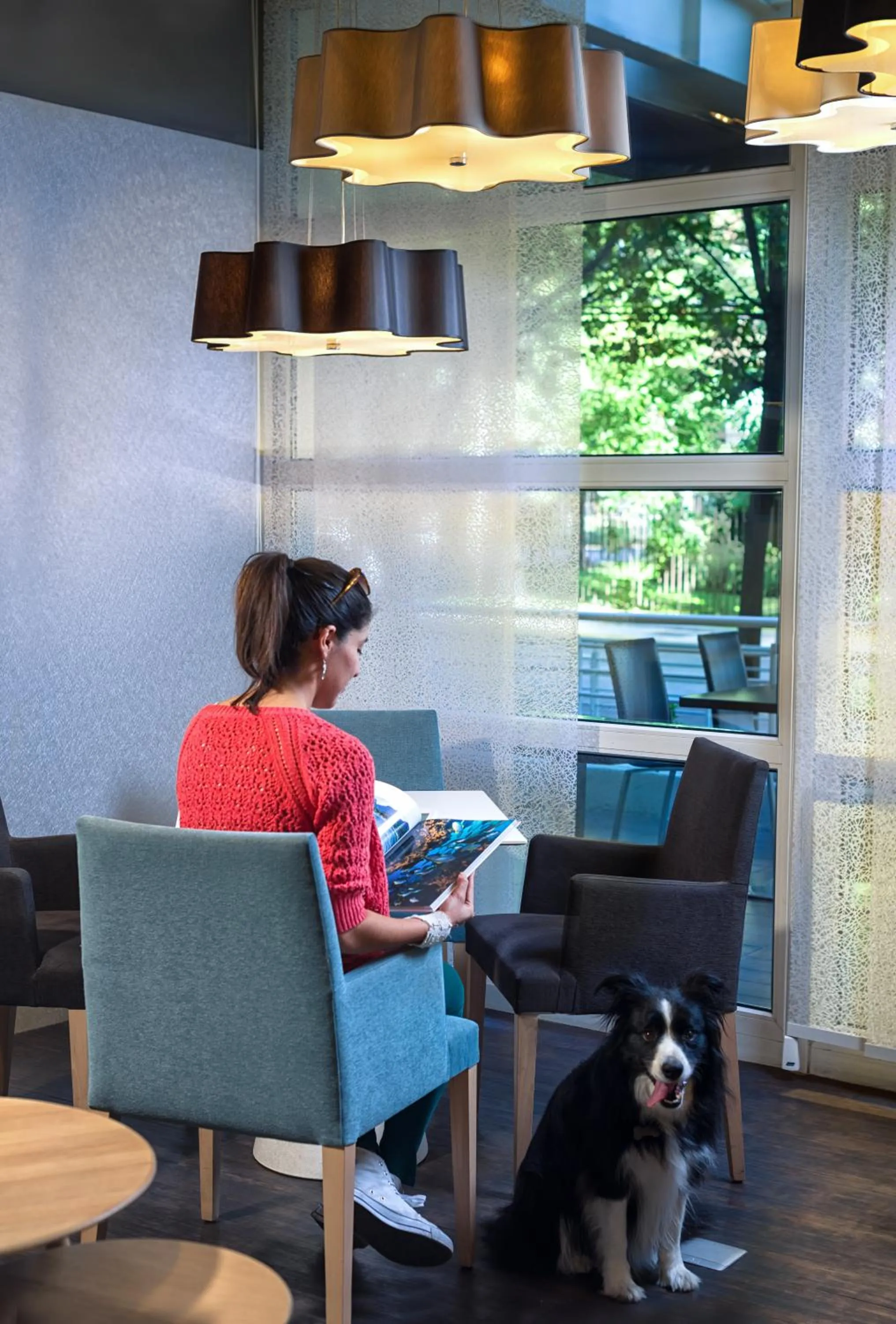 Pets in Novotel Santiago Vitacura