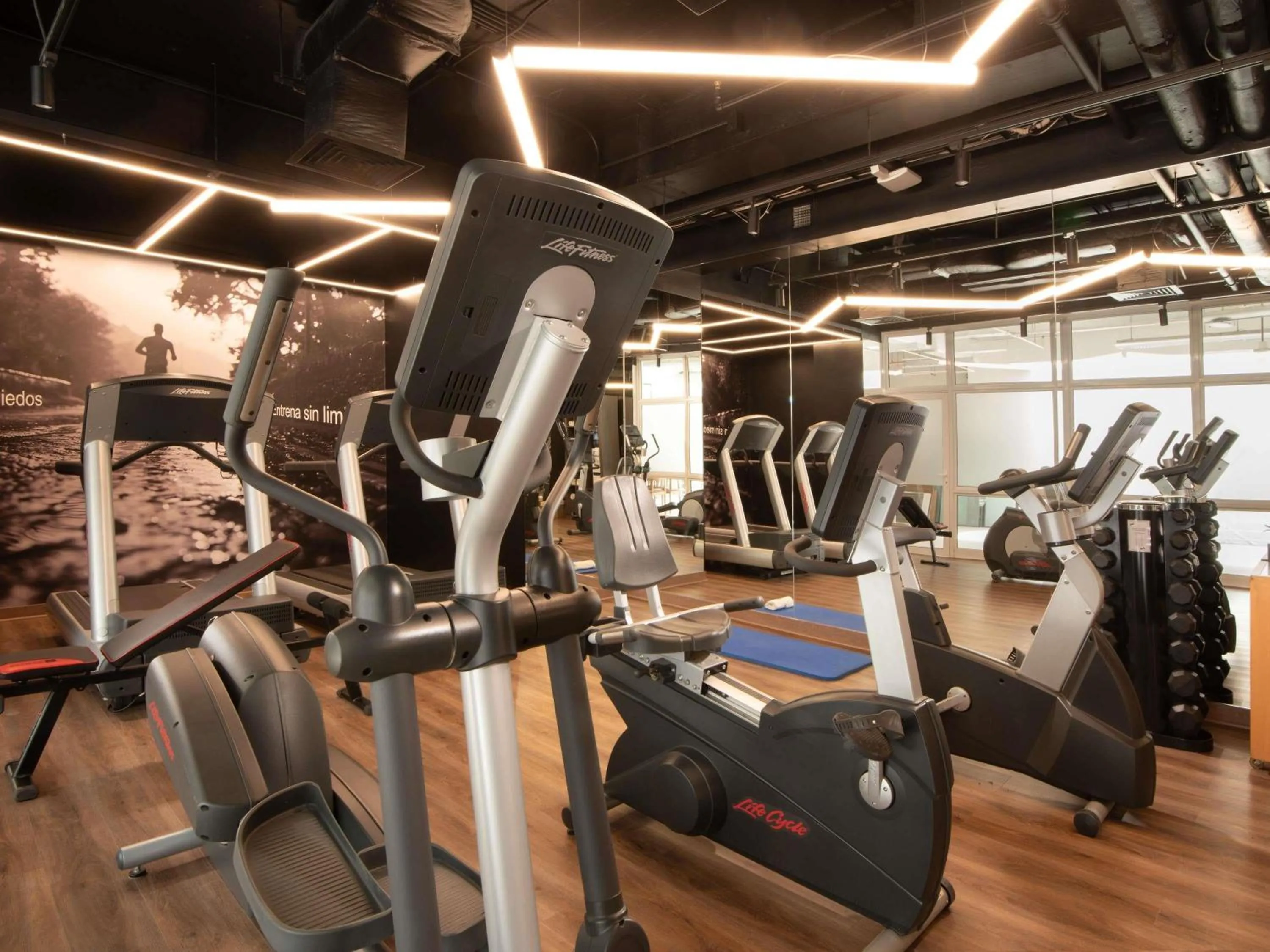 Fitness centre/facilities in Novotel Santiago Vitacura