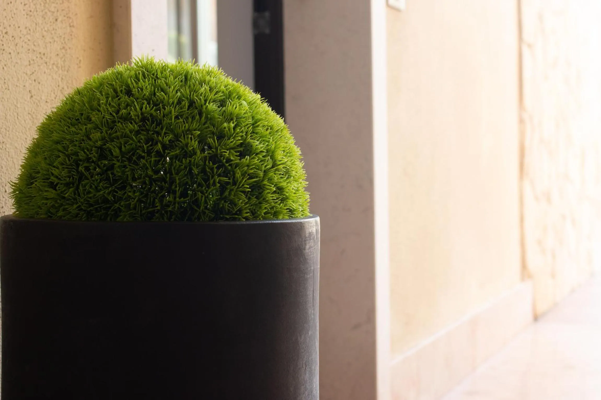 Garden in Vistaverde Harmony Apartments
