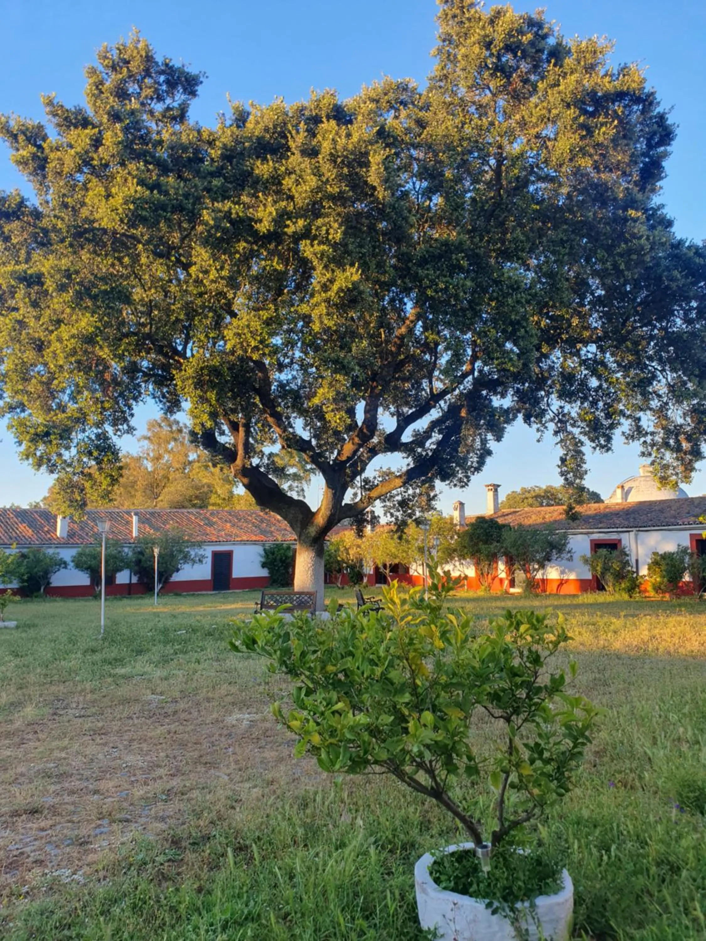 Spring in Hotel Rural El Vaqueril