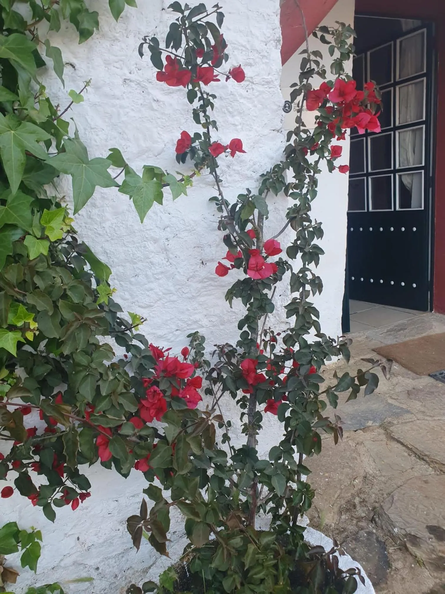 Spring in Hotel Rural El Vaqueril