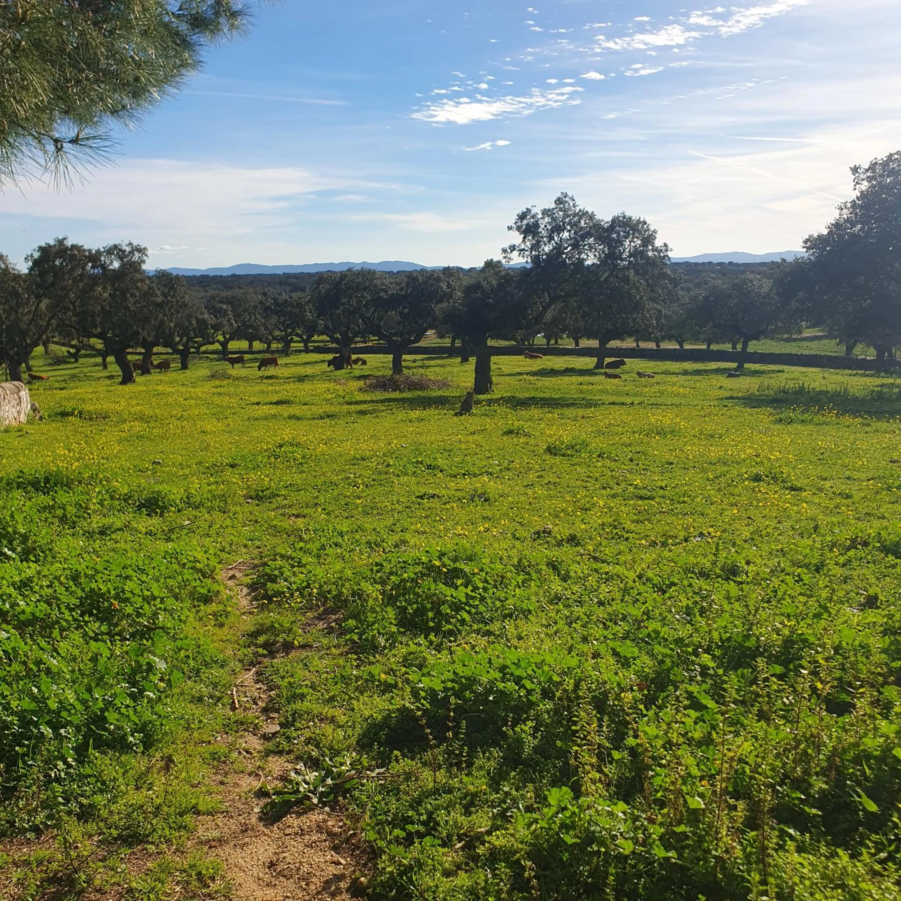Spring in Hotel Rural El Vaqueril