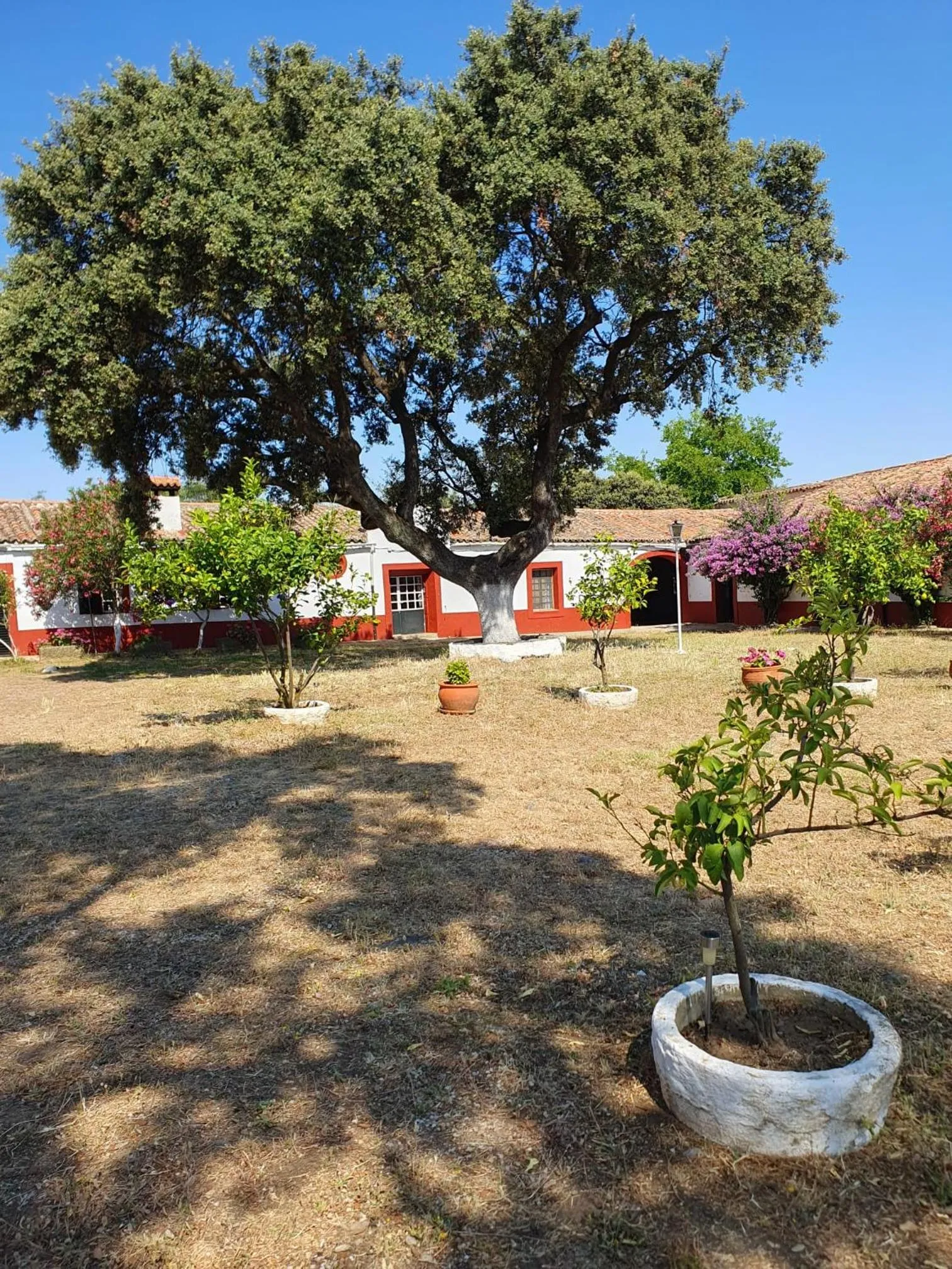 Garden view in Hotel Rural El Vaqueril