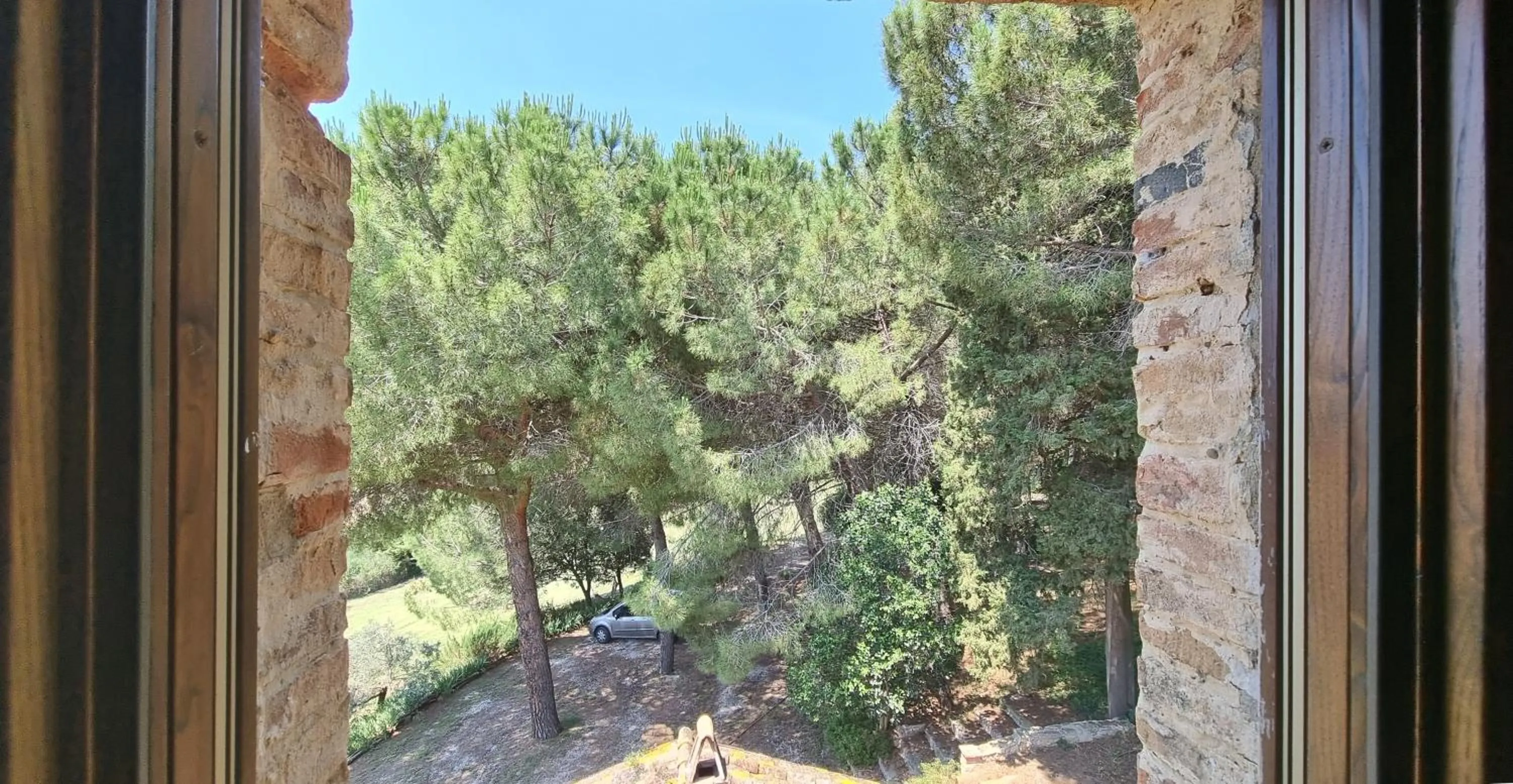 View (from property/room) in Il Moreto - Casale Toscano per gruppi vicino Bolgheri e mare