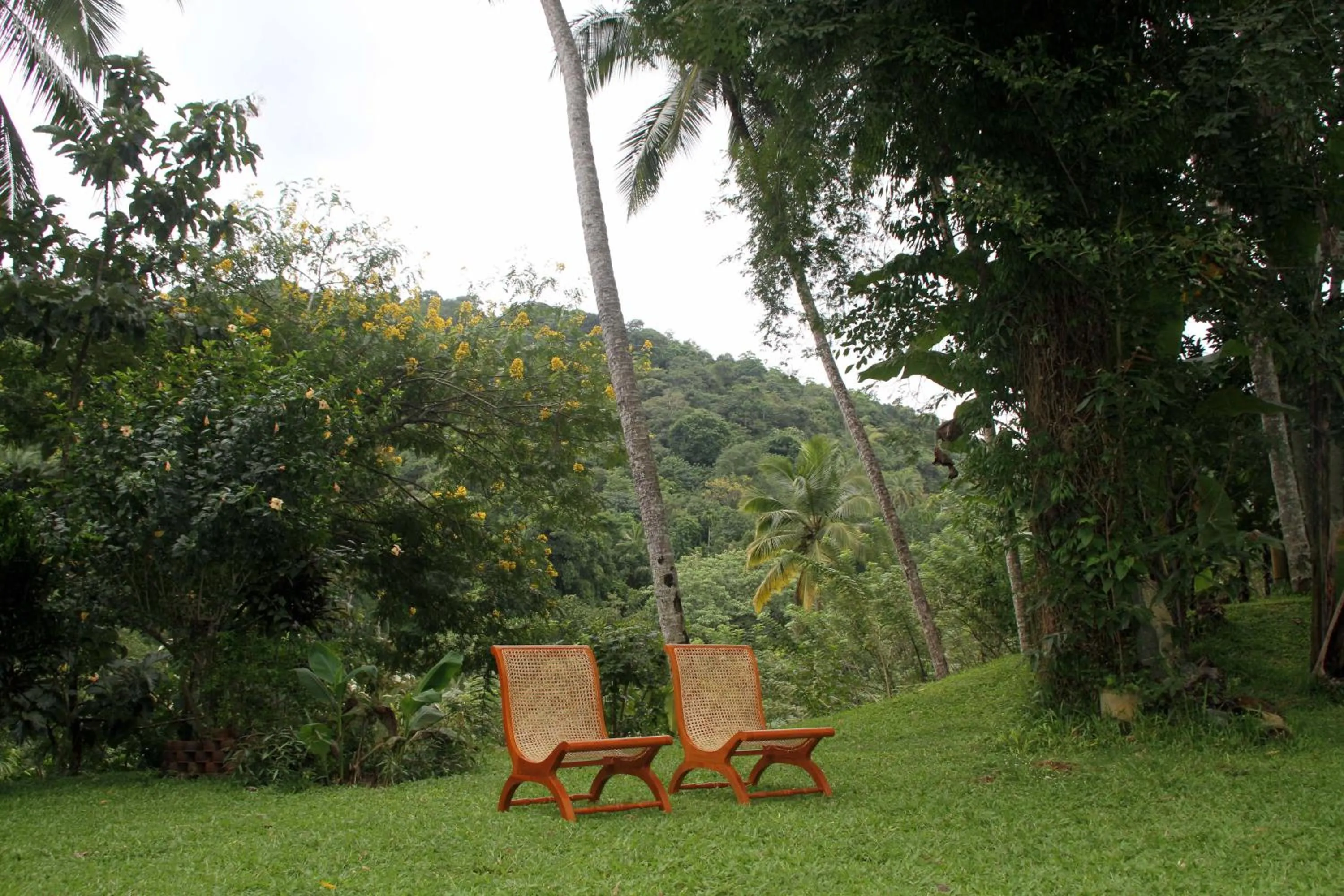 Garden in Athulya Villas, Kandy