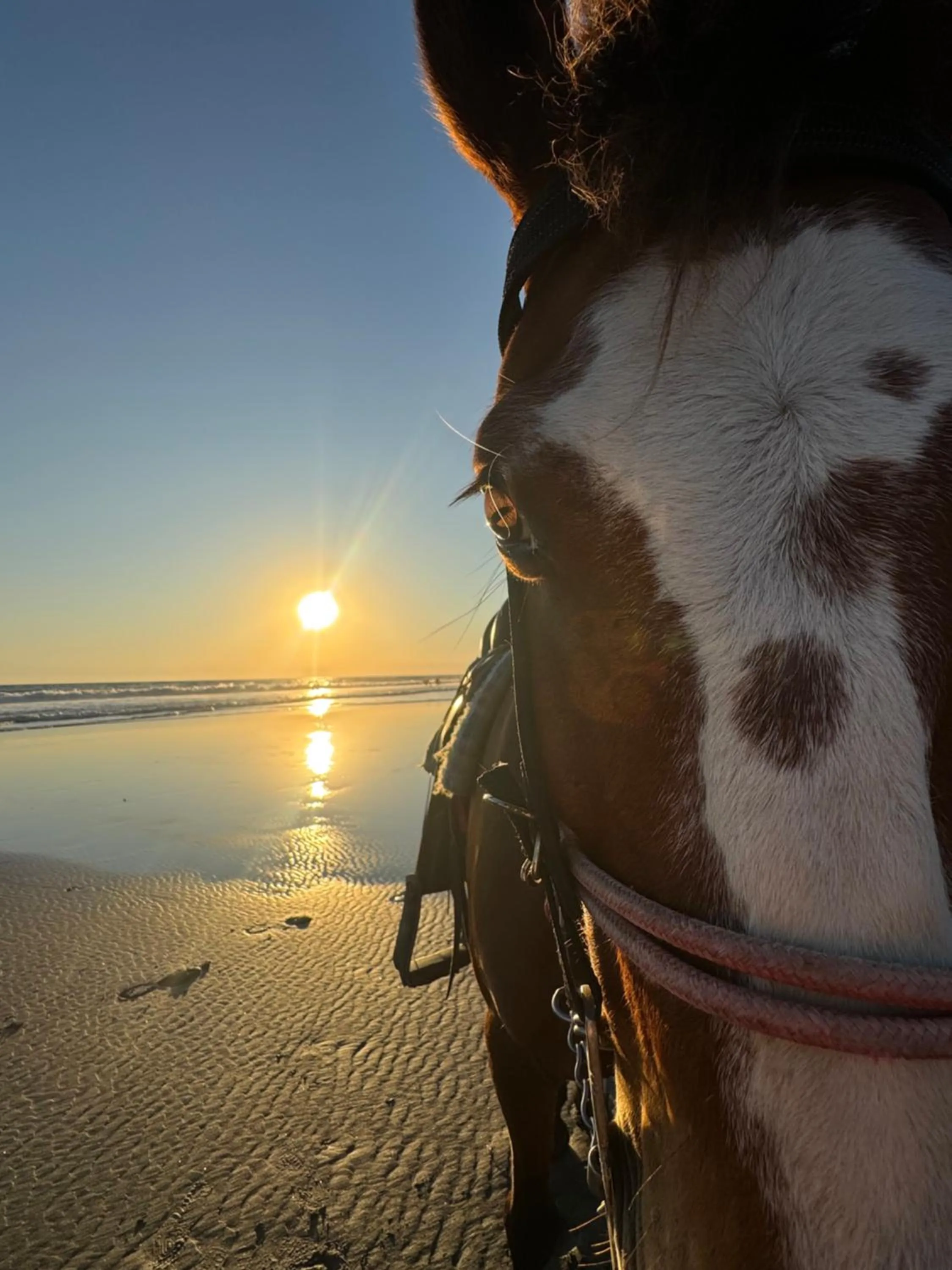 The rooftop Beach & club