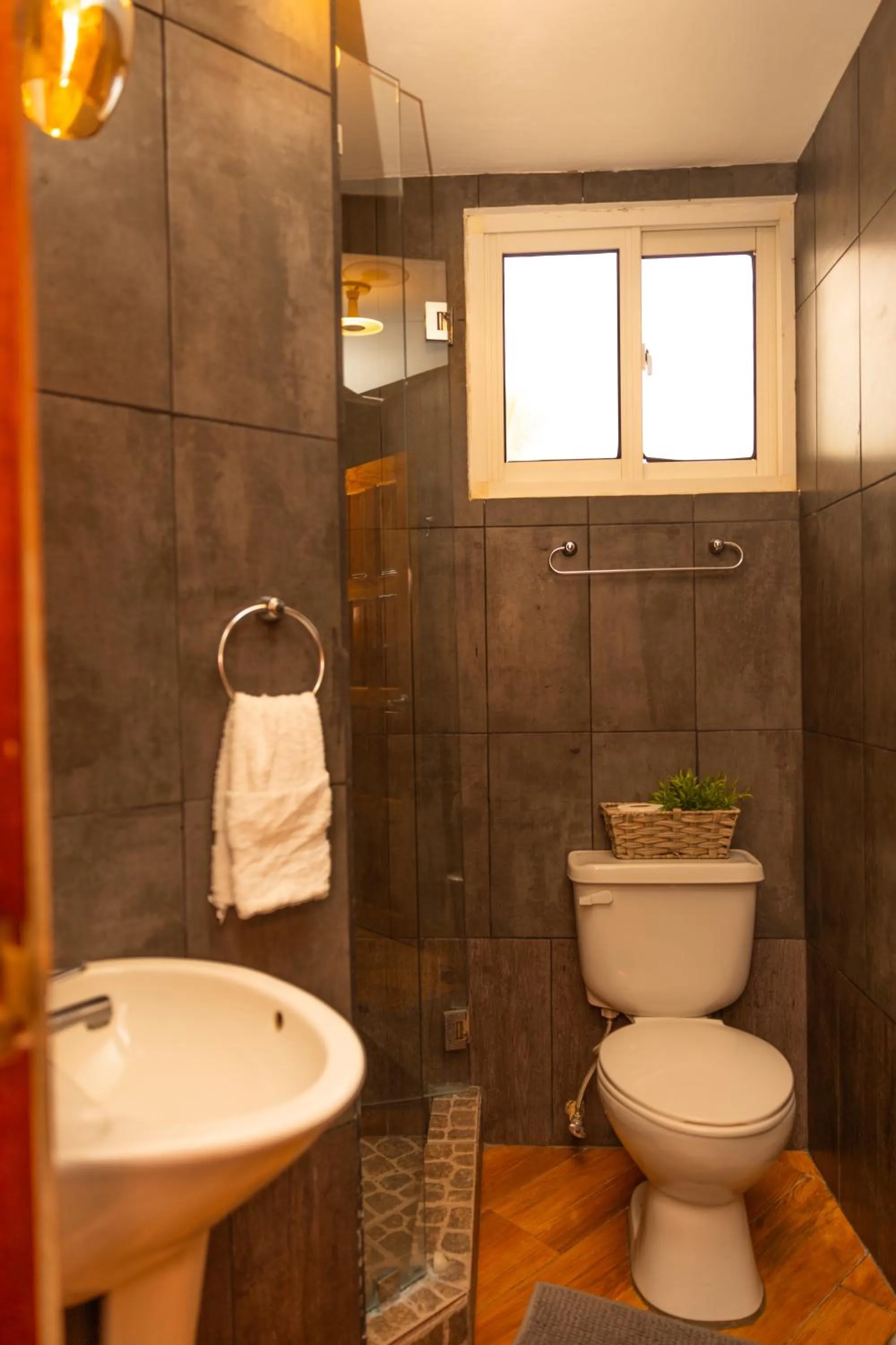 The rooftop Beach & club