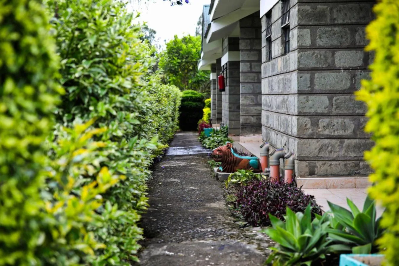 Patio in Fina Gardens Resort, Naivasha