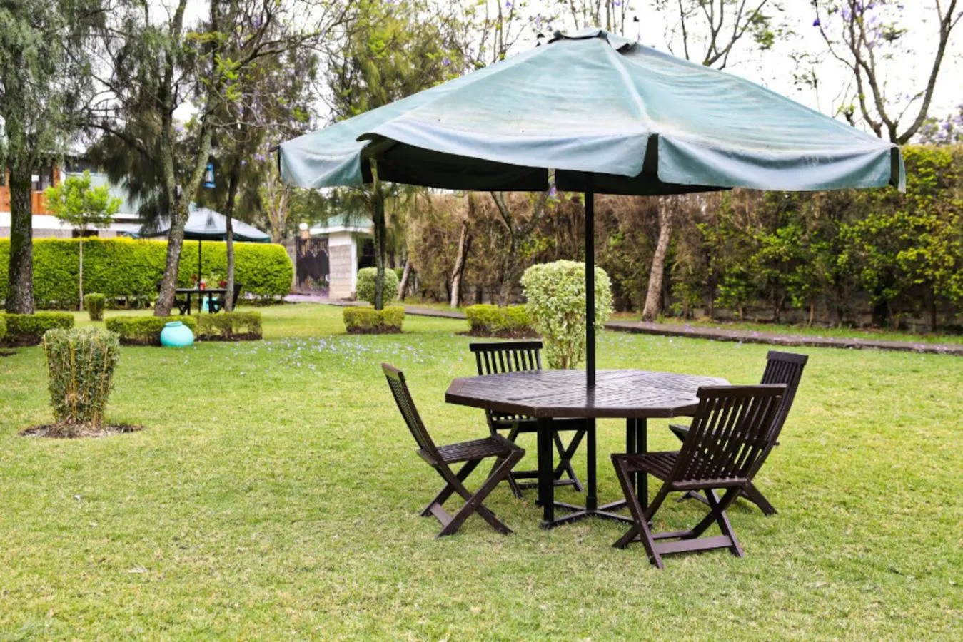 Garden in Fina Gardens Resort, Naivasha