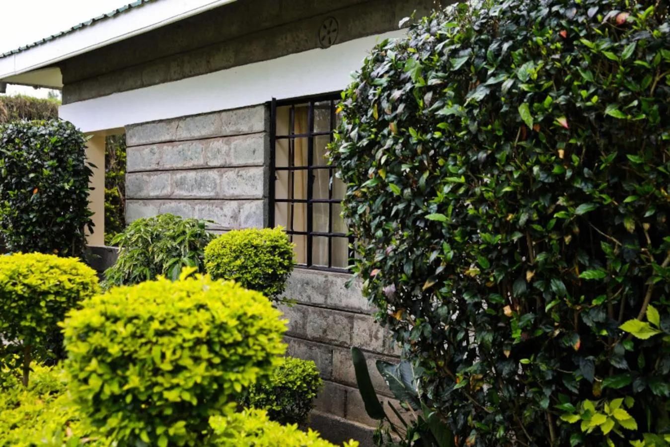 Garden view in Fina Gardens Resort, Naivasha