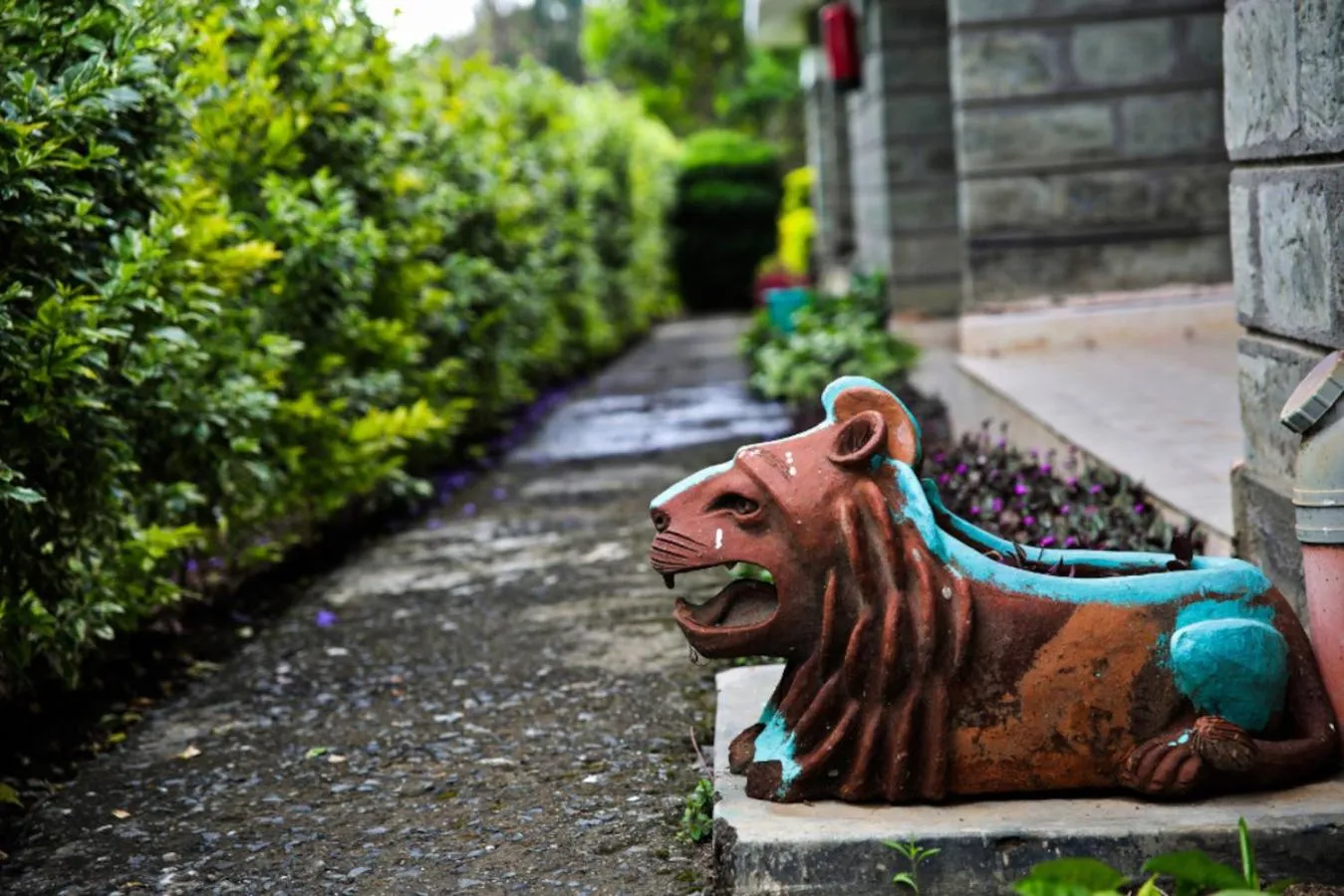 Garden in Fina Gardens Resort, Naivasha
