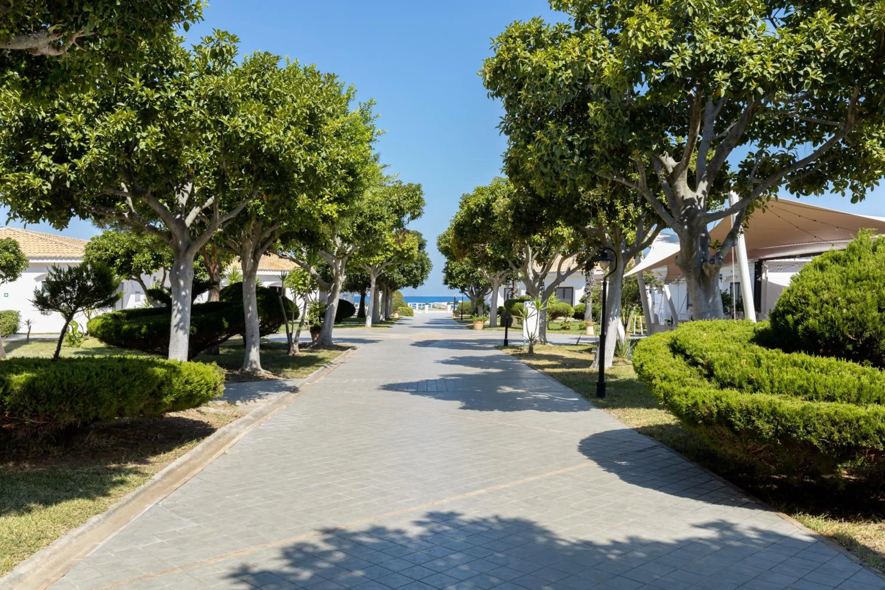 Garden in VOI Le Muse Essentia