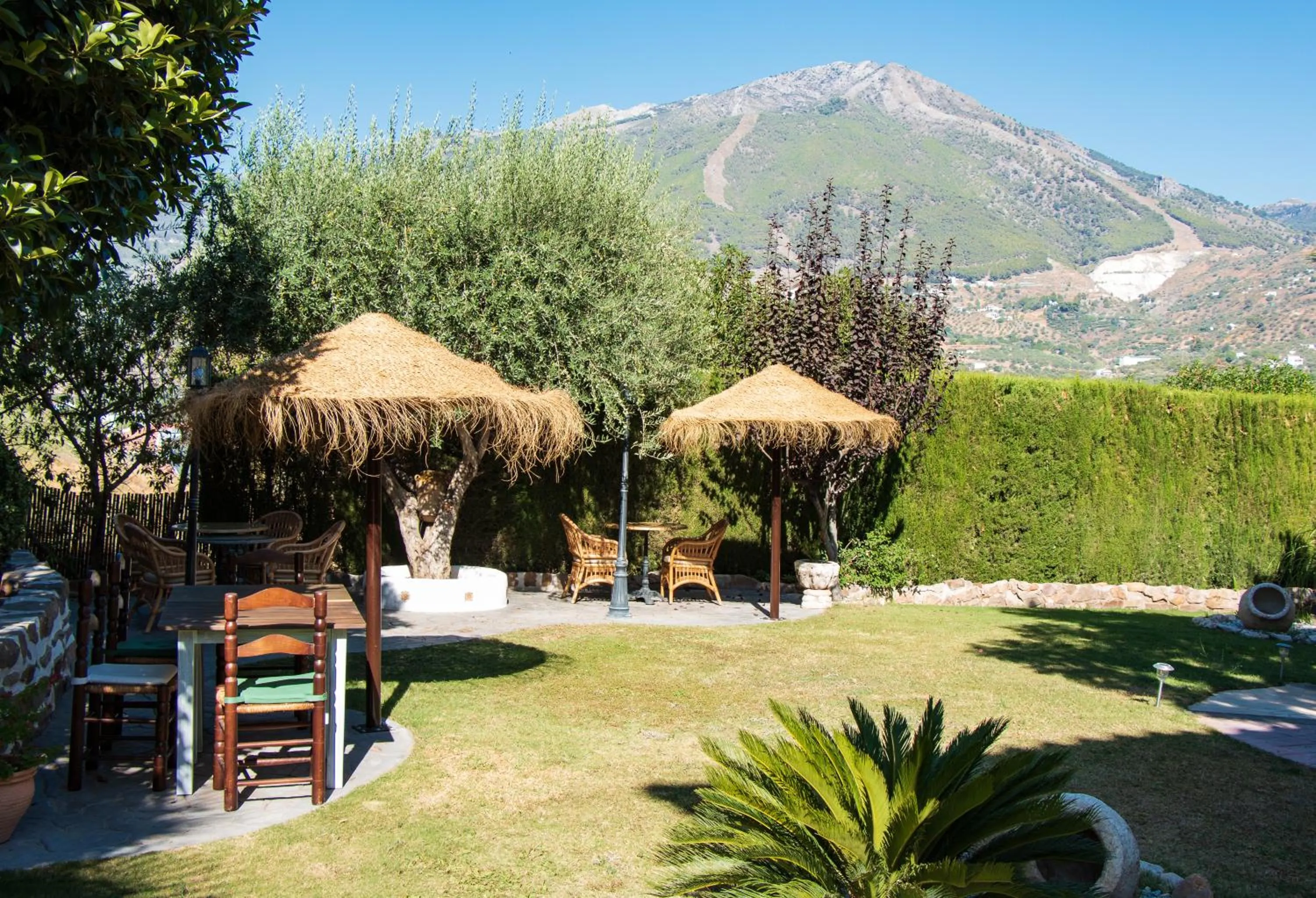 Garden in Hotel Cortijo de Salia