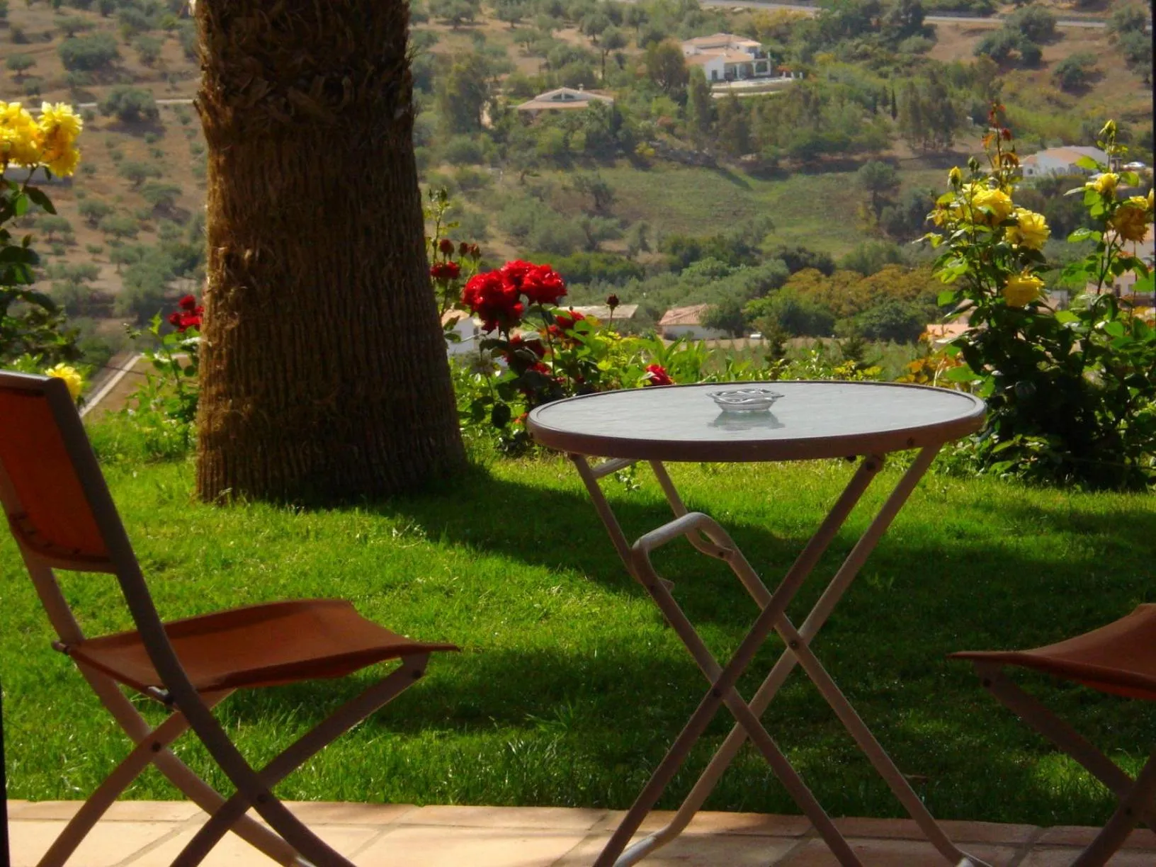 Patio in Hotel Cortijo de Salia