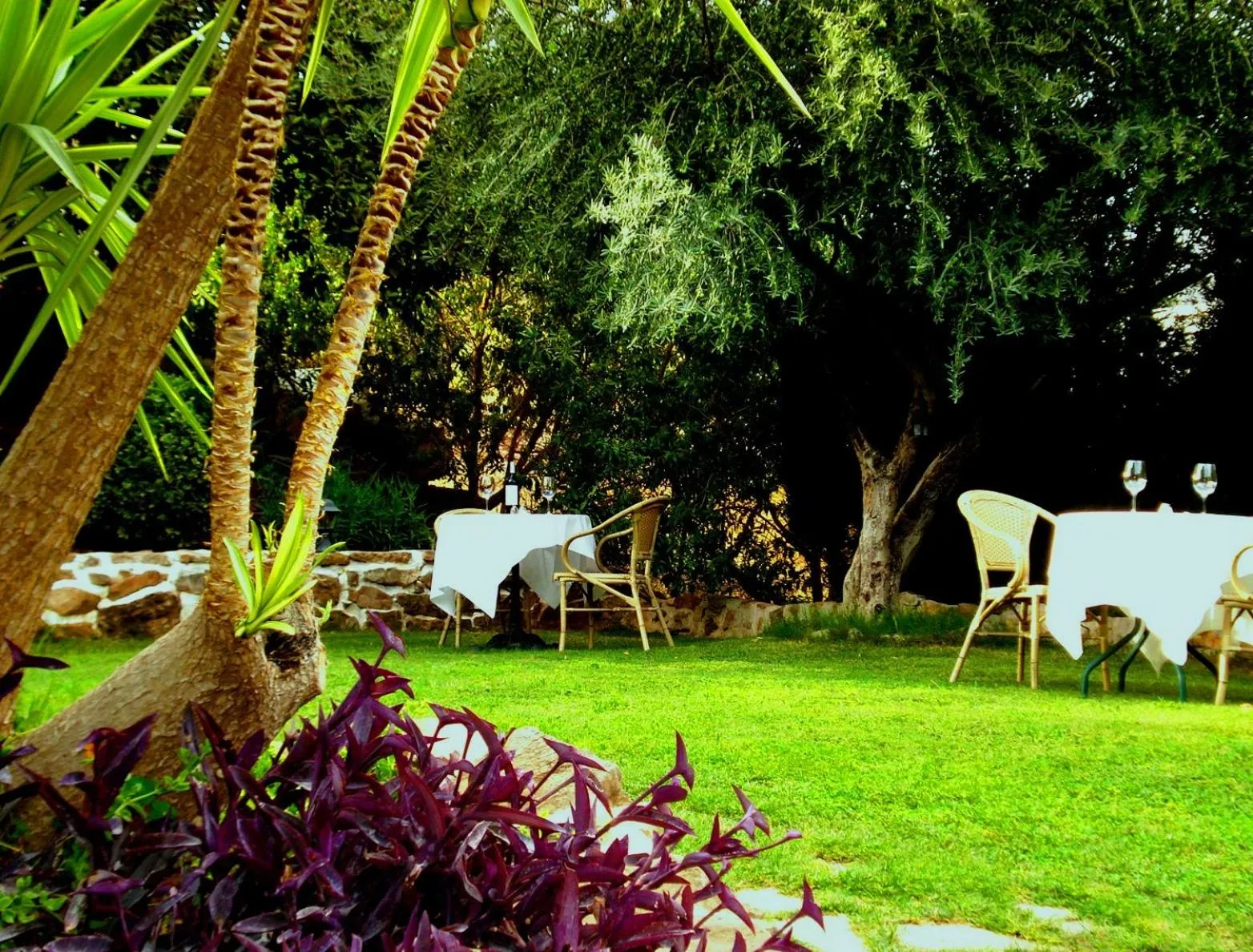 Garden in Hotel Cortijo de Salia