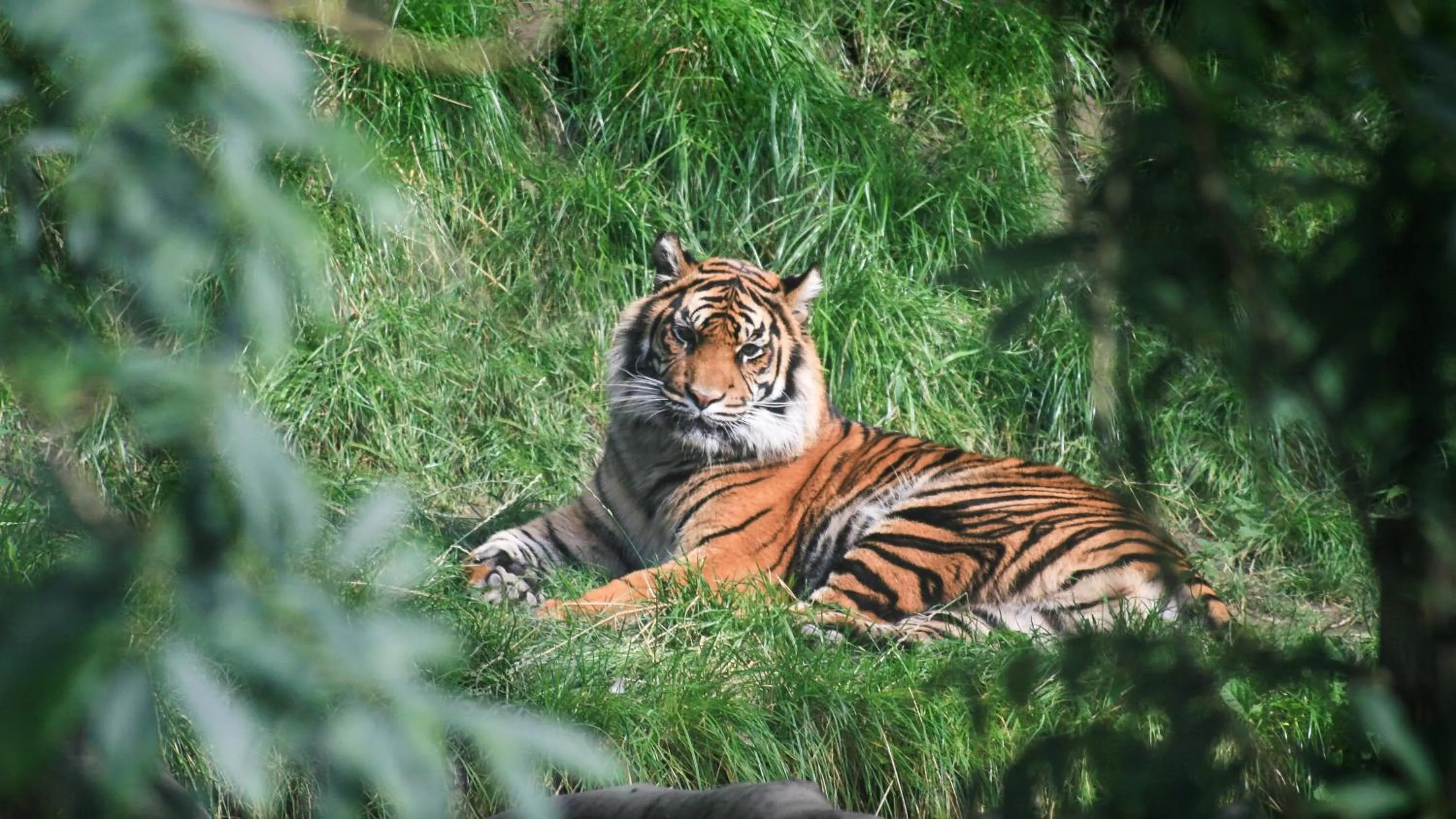 Nearby landmark in Holiday Inn Birmingham Bromsgrove by IHG