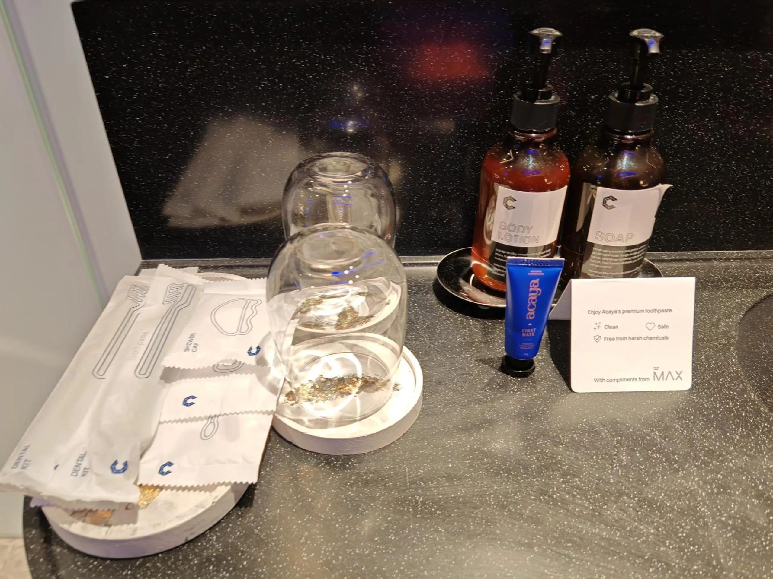 Toilet in CapsuleTransit MAX - Terminal 2