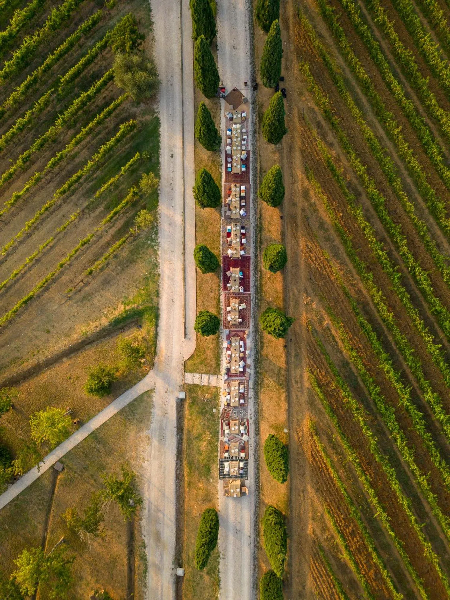 Bird's eye view in Villa Le Prata - Residenza del Vescovo - Cantina & Relais