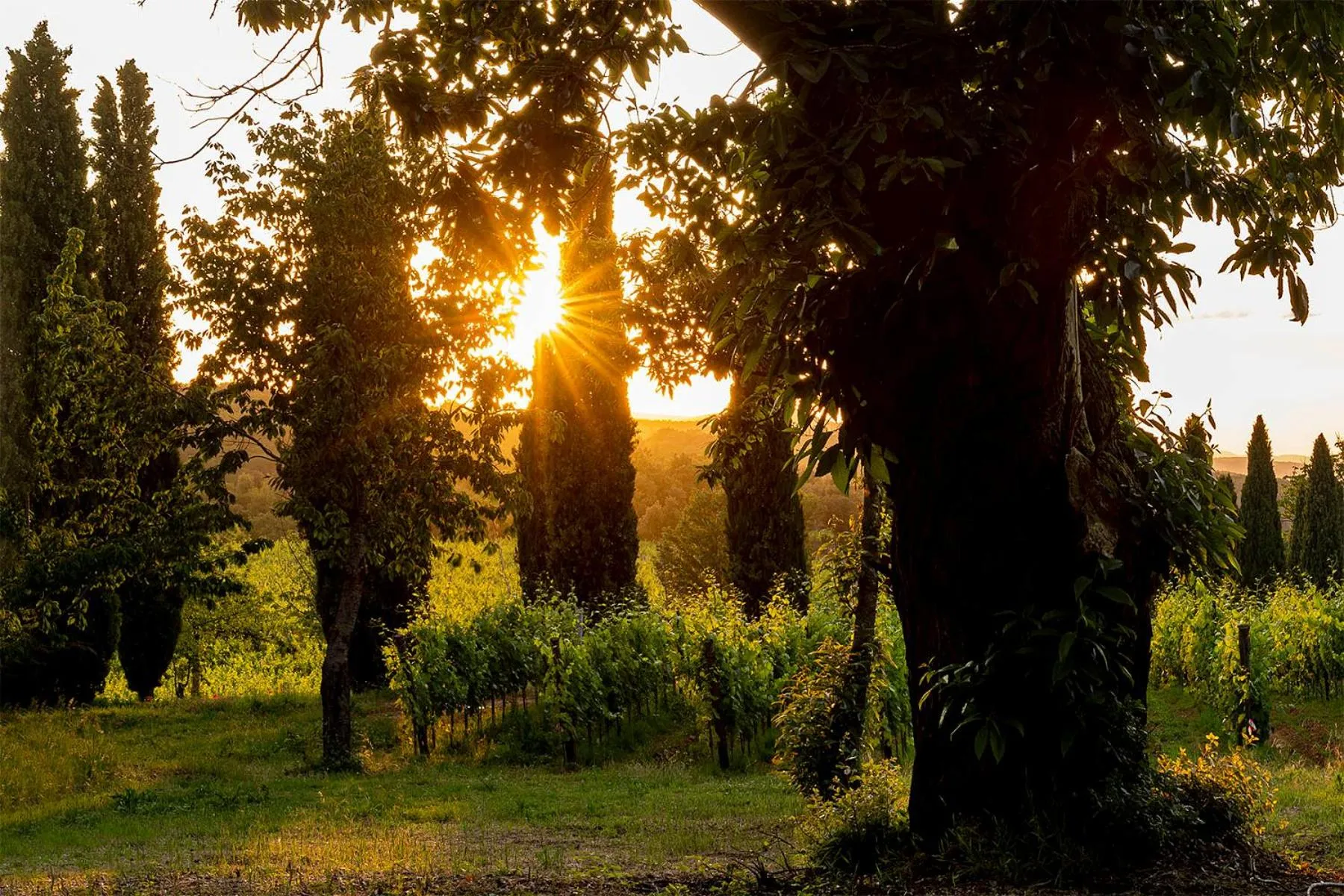 Spring in Villa Le Prata - Residenza del Vescovo - Cantina & Relais