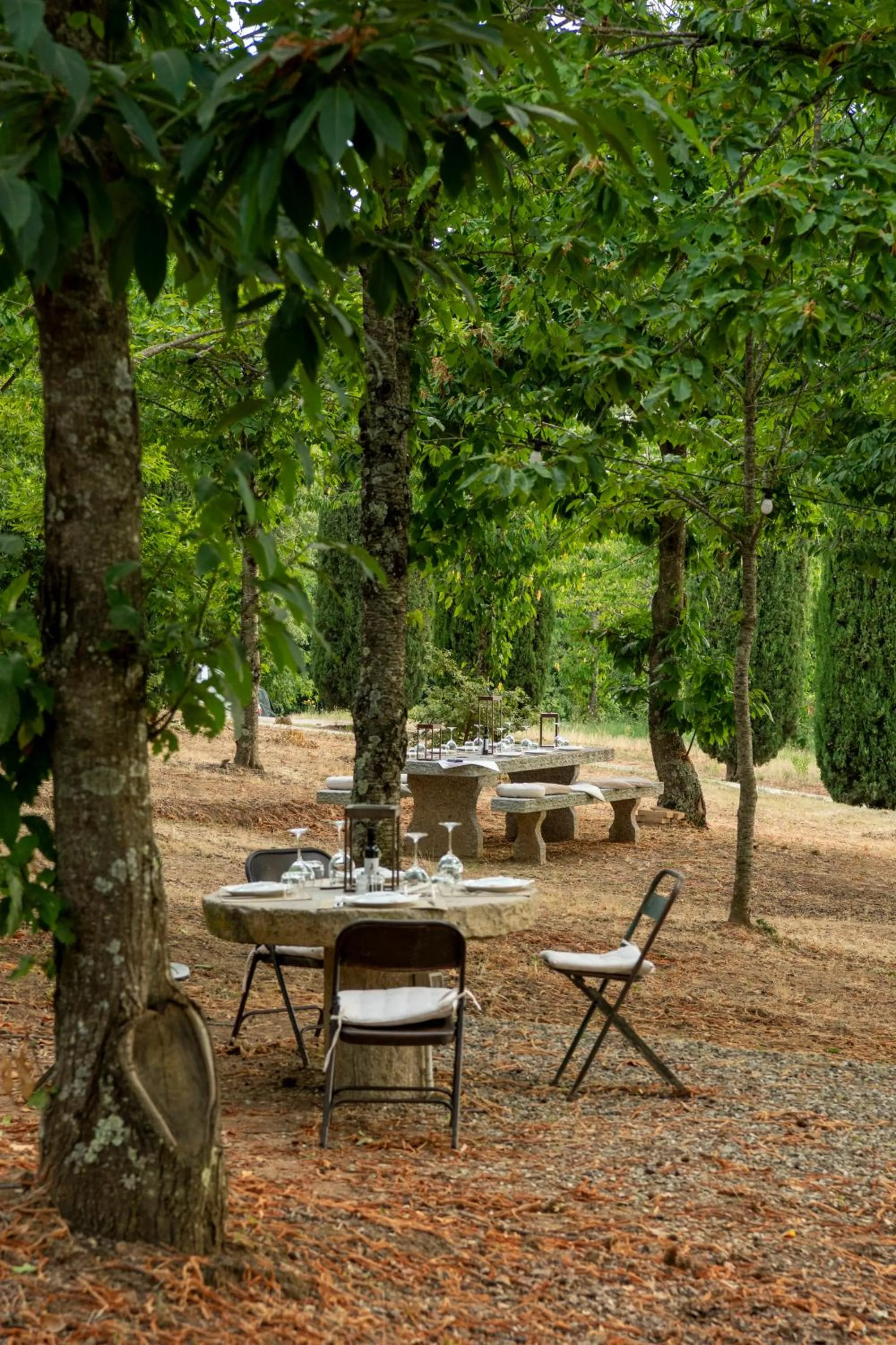 Evening entertainment in Villa Le Prata - Residenza del Vescovo - Cantina & Relais