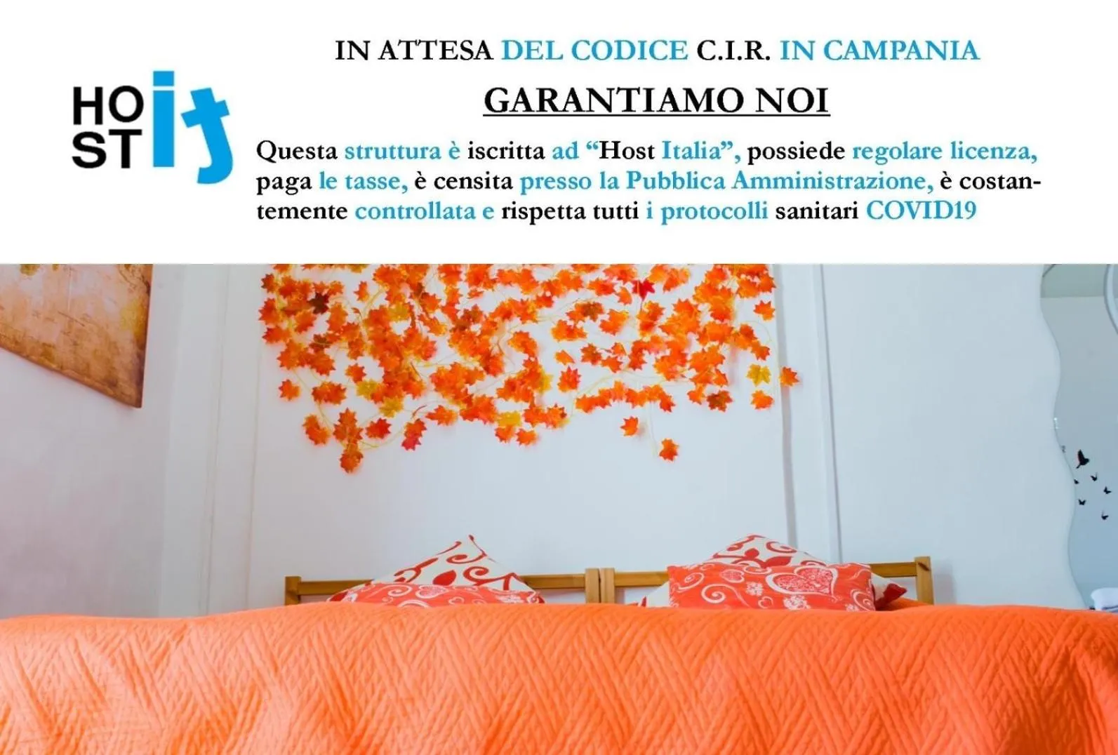 Activities in B&B Tecla