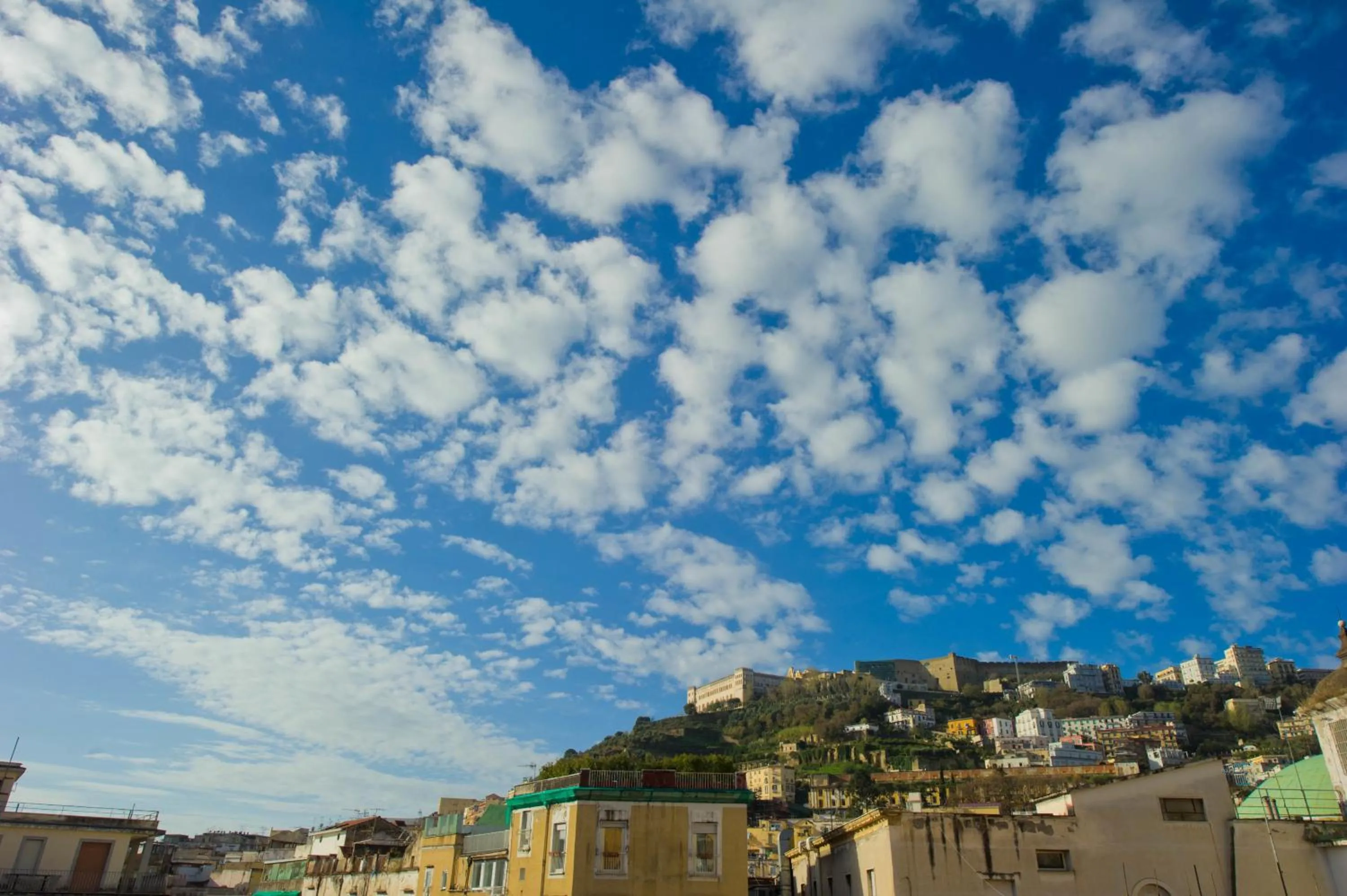 Bird's eye view in B&B Tecla