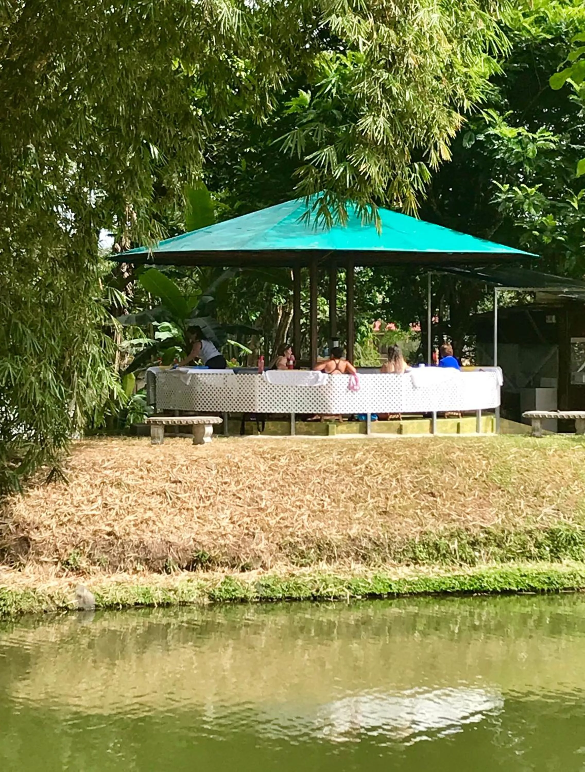 Restaurant/places to eat in Hotel Colores del Arenal