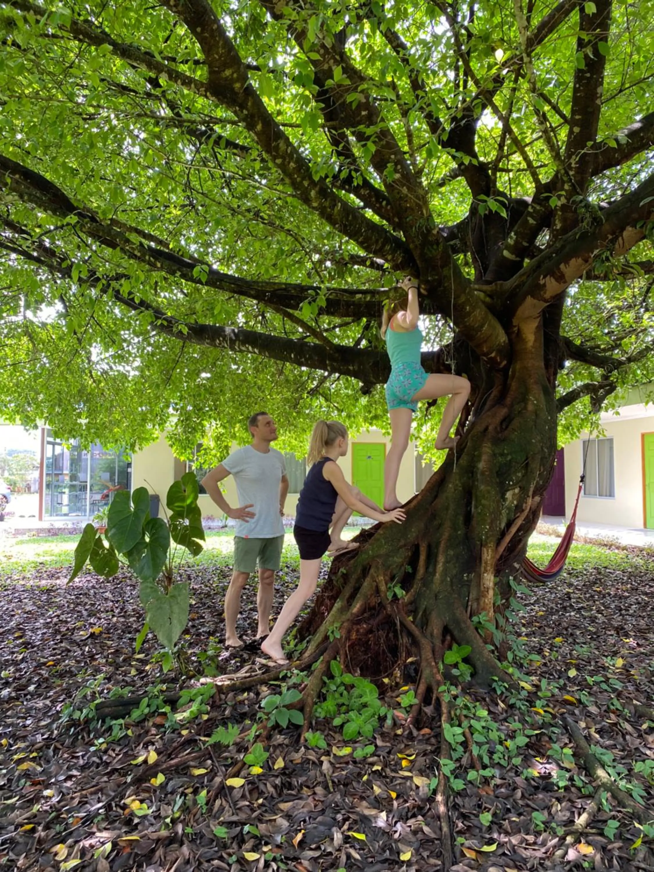 Day in Hotel Colores del Arenal