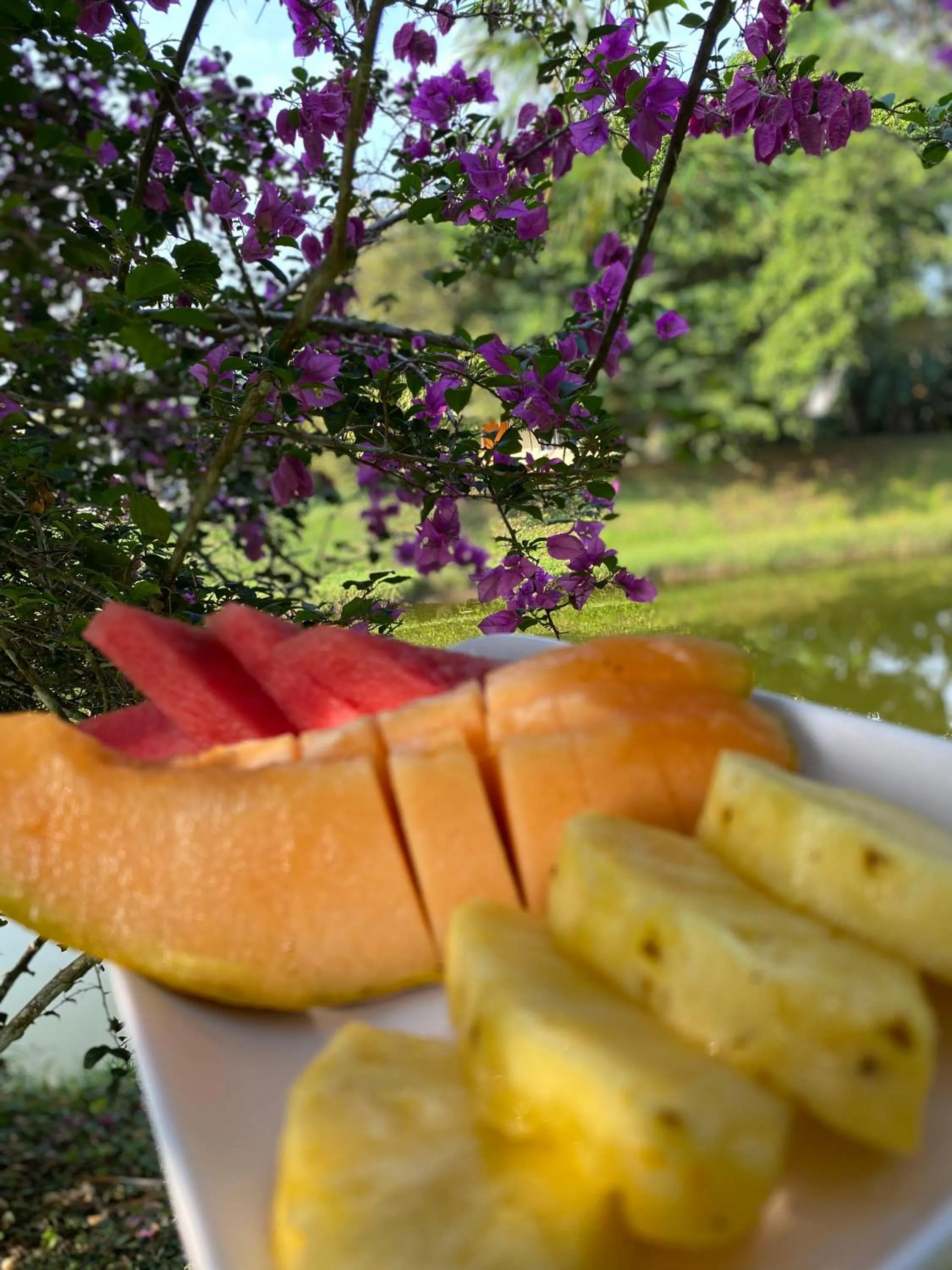 Day in Hotel Colores del Arenal