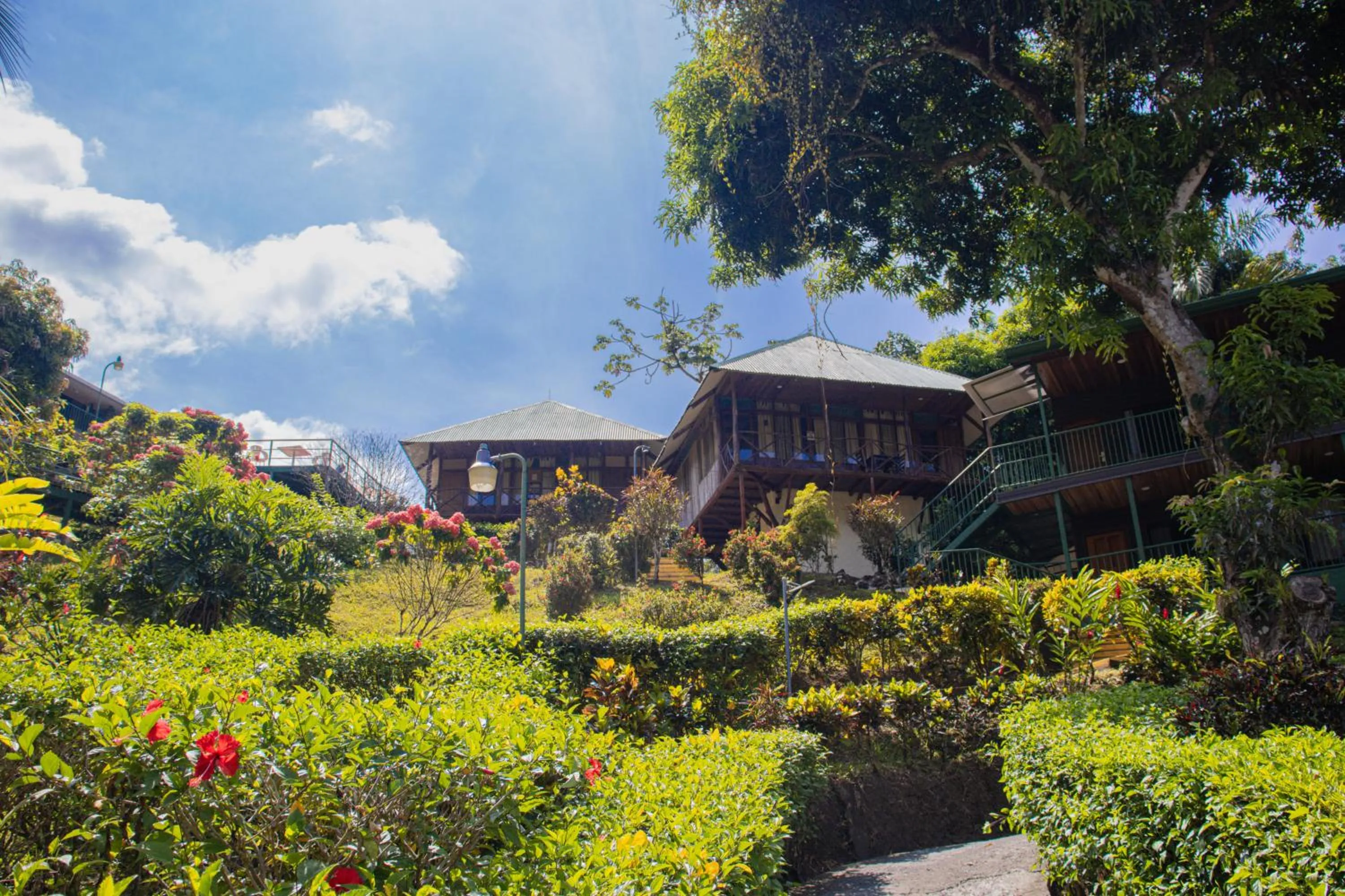 Natural landscape in Tabulia Tree Hotel and Villas