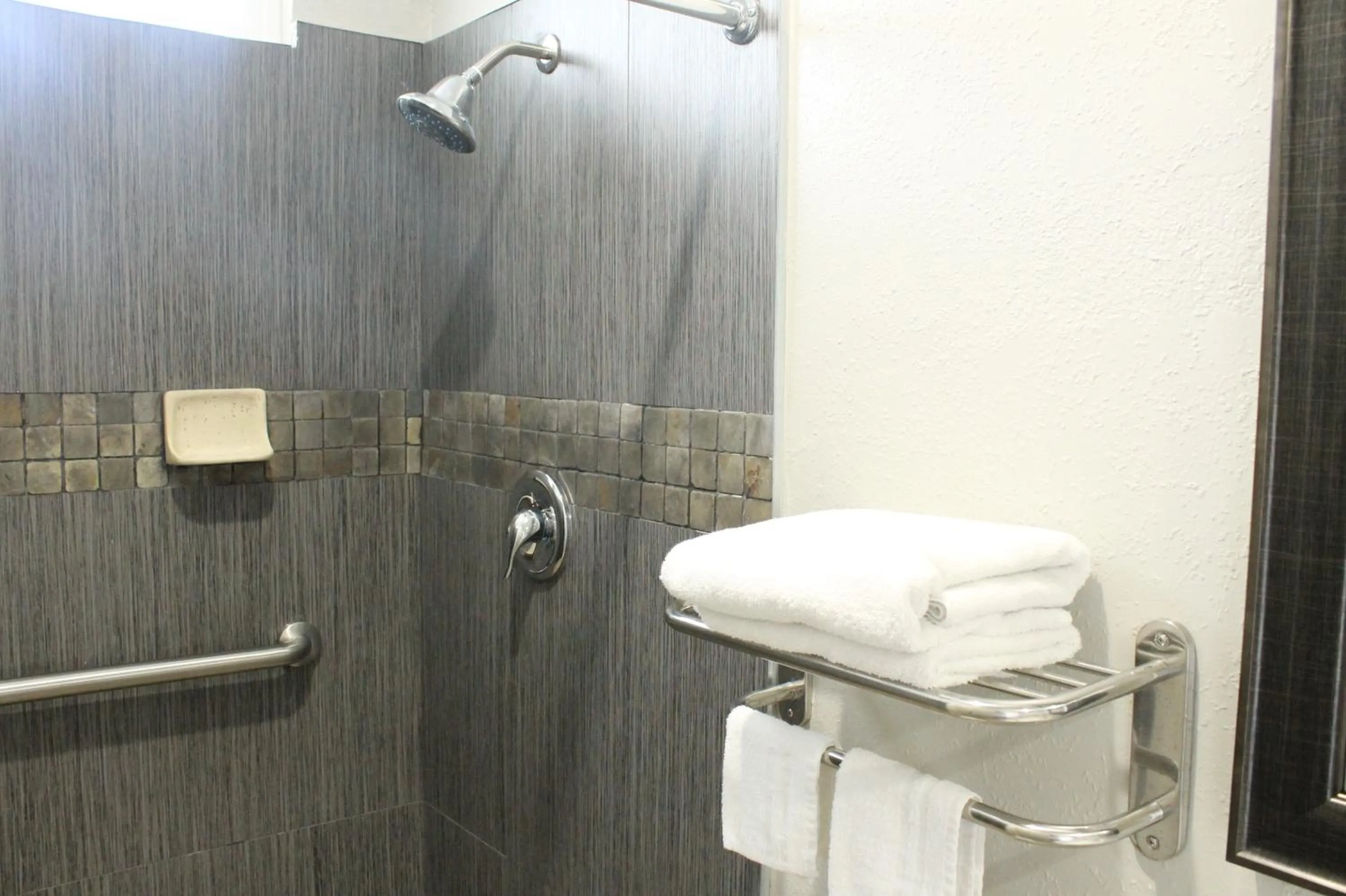 Shower in Town House Motel