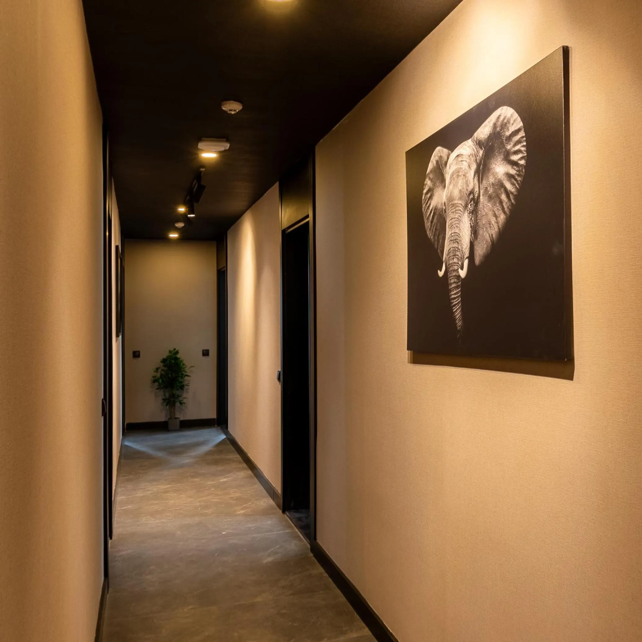 Decorative detail in Ella Suites Hotel
