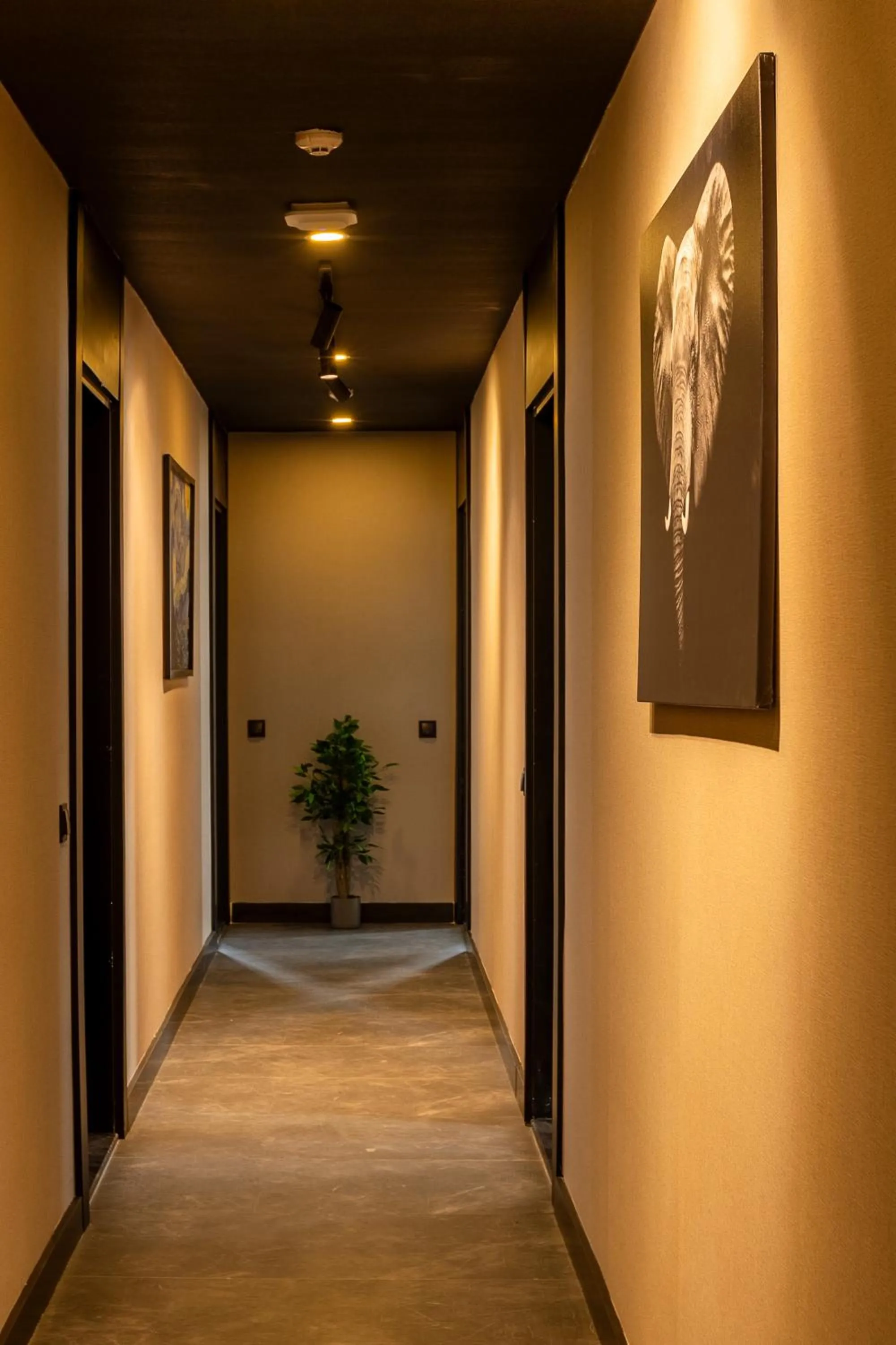 Property building in Ella Suites Hotel