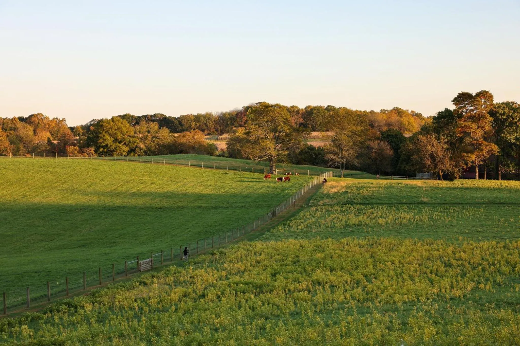 Area and facilities in Hotel Indigo West Chester - Downtown by IHG