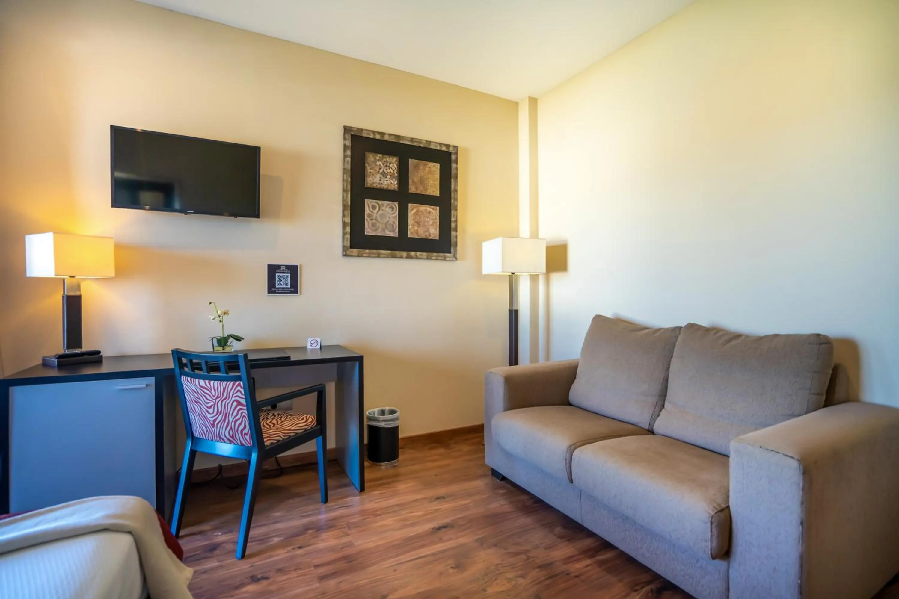 TV and multimedia in Hotel Andalussia