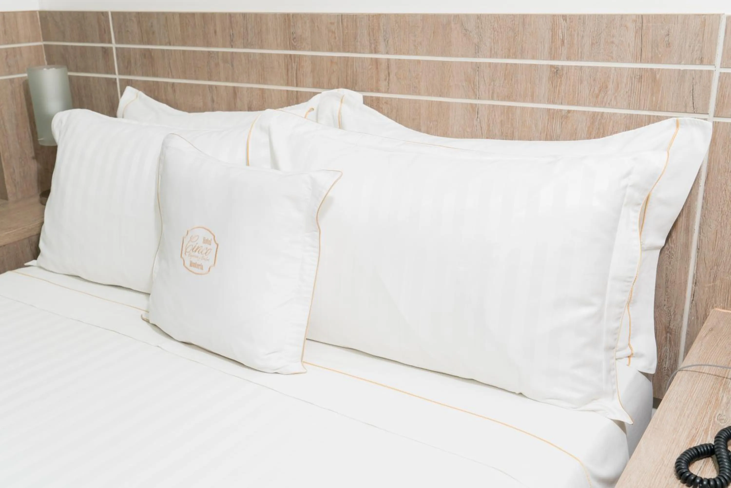 Double Room - single occupancy in Hotel Cinco Monteria