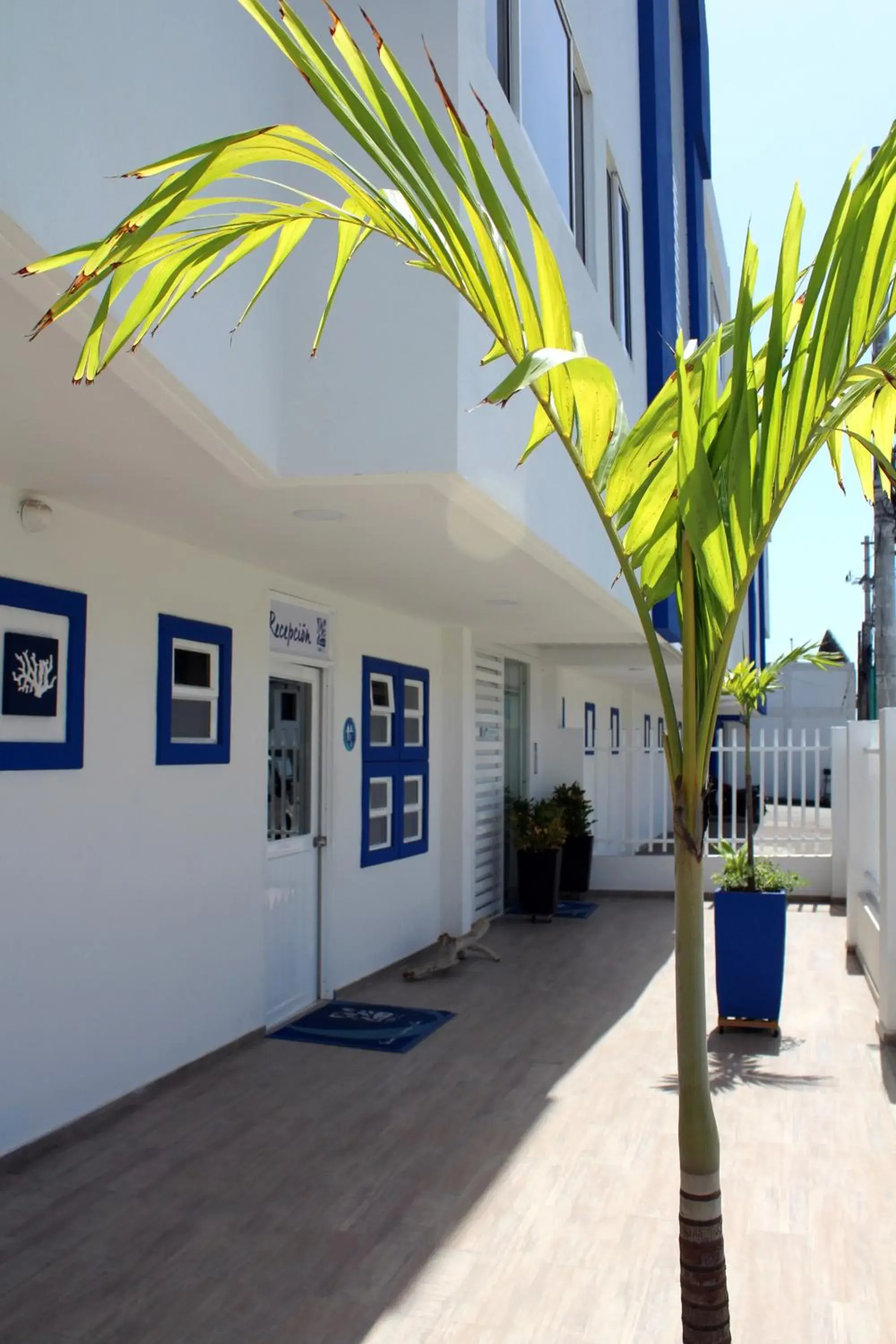 Lobby or reception in White Coral ApartaSuites Lobby or reception in White Coral ApartaSuites