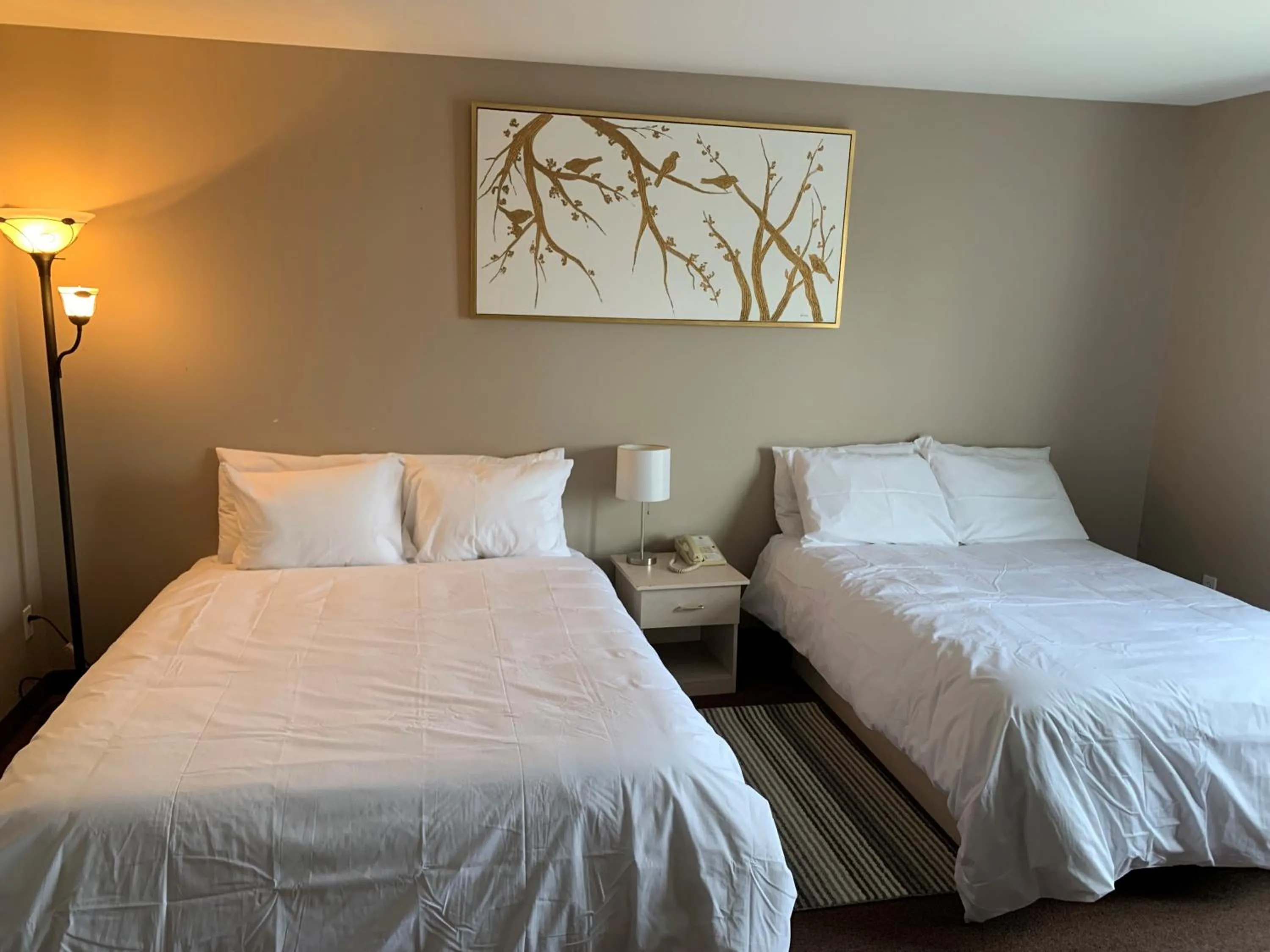 Double or Twin Room with View in Hôtel Saint-Côme