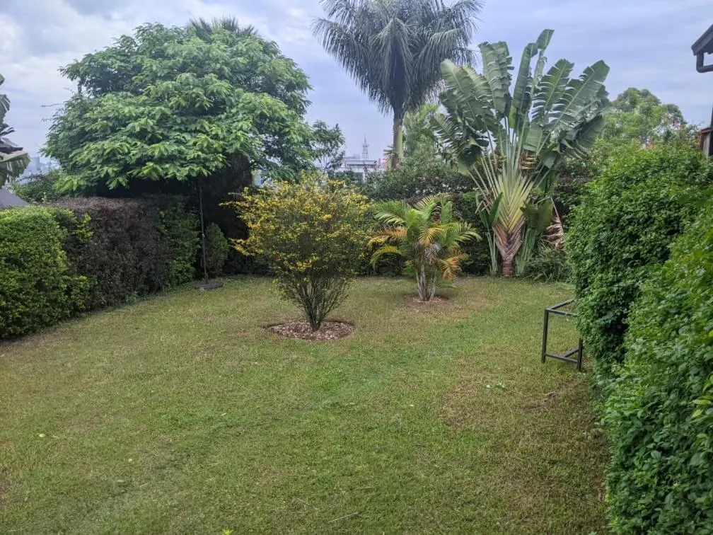 Garden view in Inside Afrika Boutique Hotel