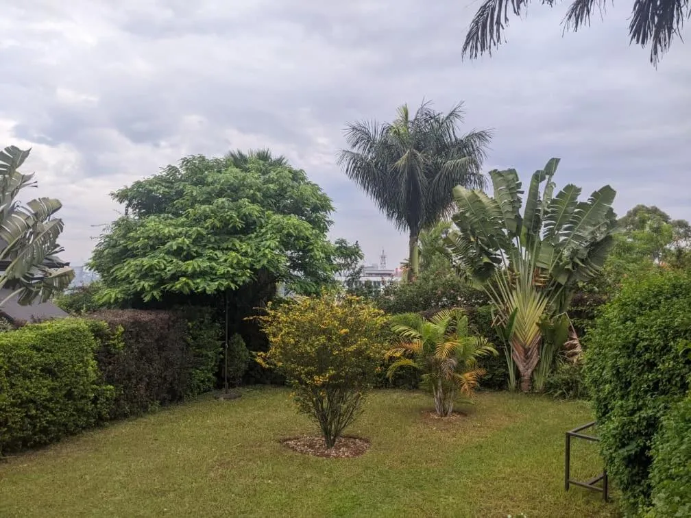 Garden in Inside Afrika Boutique Hotel